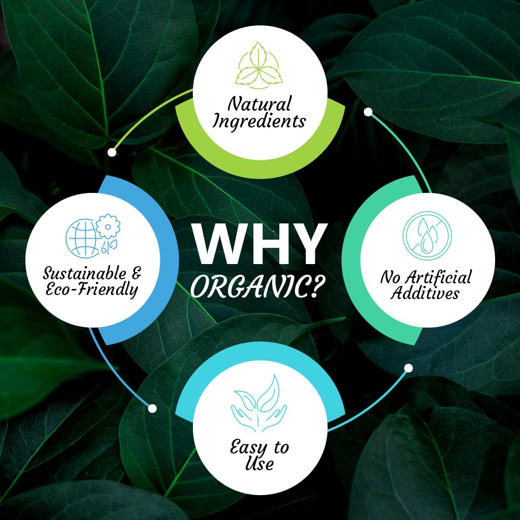 1lb Vitamatic USDA Organic Amla Berry Powder - Antioxidant Vitamin C for Immunity - Gluten Free, Non-GMO, Kosher