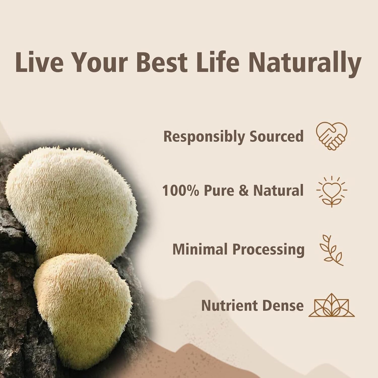 1lb Vrixlanua Lion's Mane Mushroom Powder Extract - Brain Health & Immunity Support Supplement for Mental Clarity & Cognition