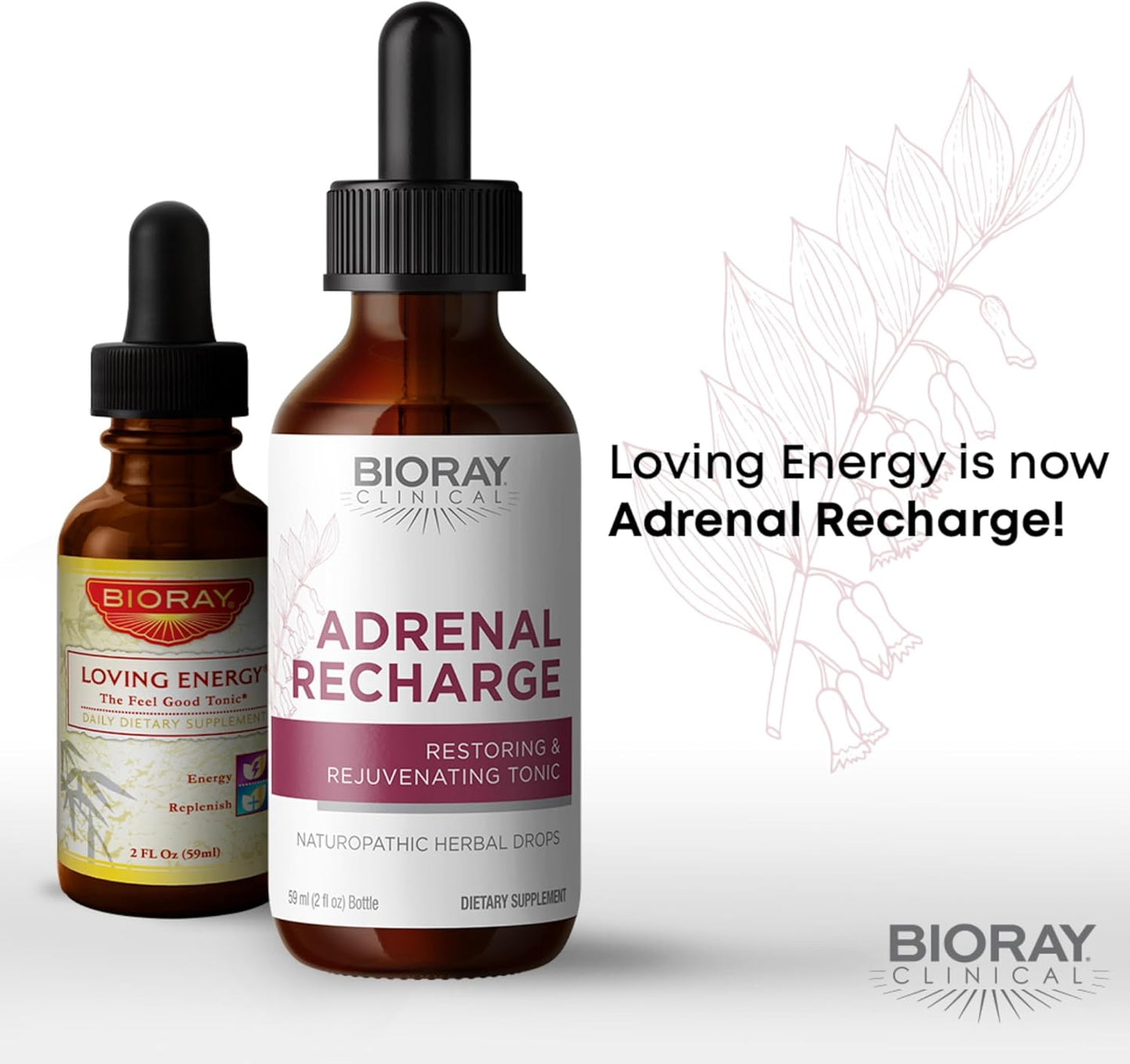 2 fl oz BIORAY Clinical Adrenal Recharge Alcohol Tincture - Non-GMO, Vegan, Gluten Free - Restoring & Rejuvenating Formula