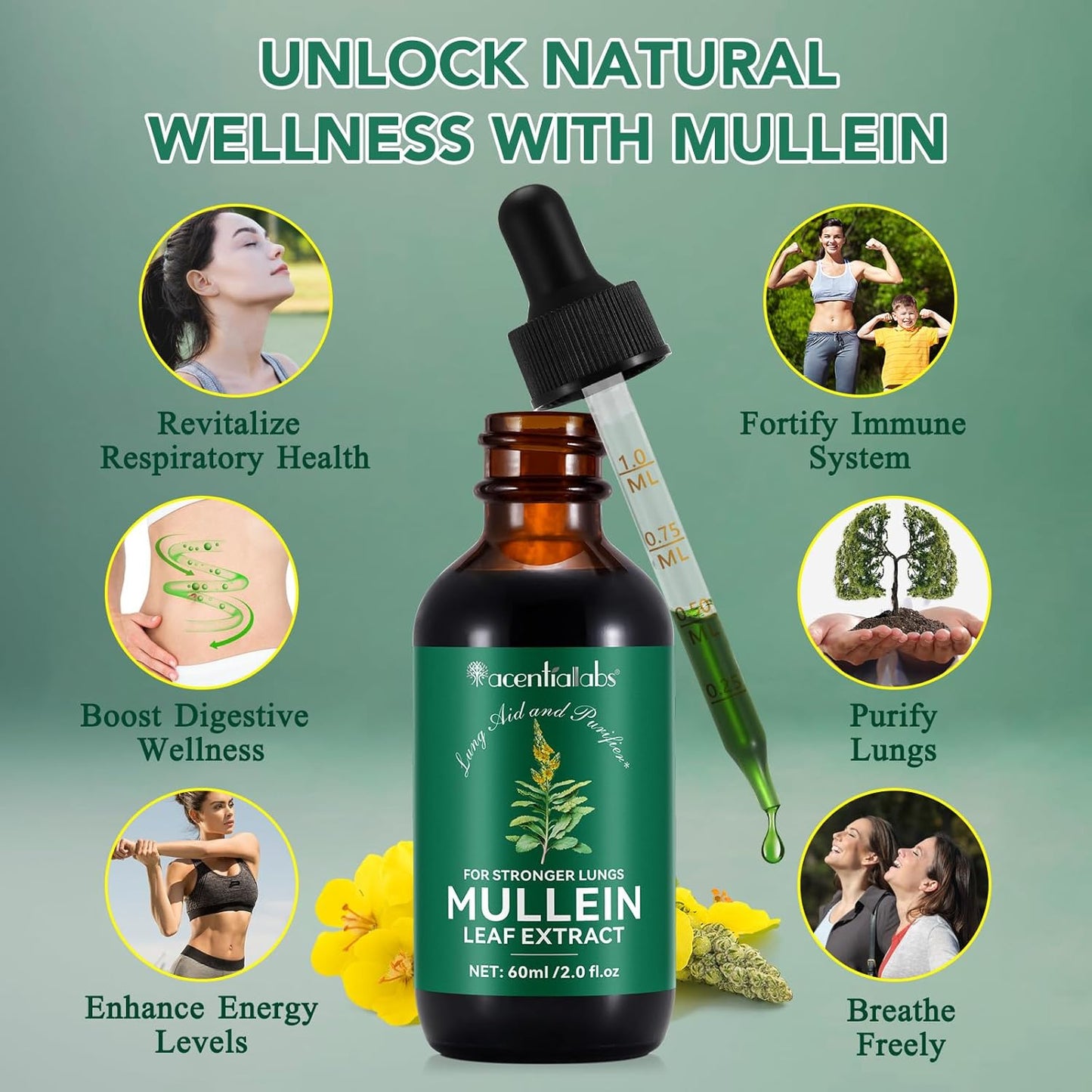 2 Fl Oz BOIUOITI Mullein Leaf Extract Drops with Chlorophyll - Natural Supplement for Lung Cleanse, Respiratory Support, Immunity Boost, Digestive Wellness