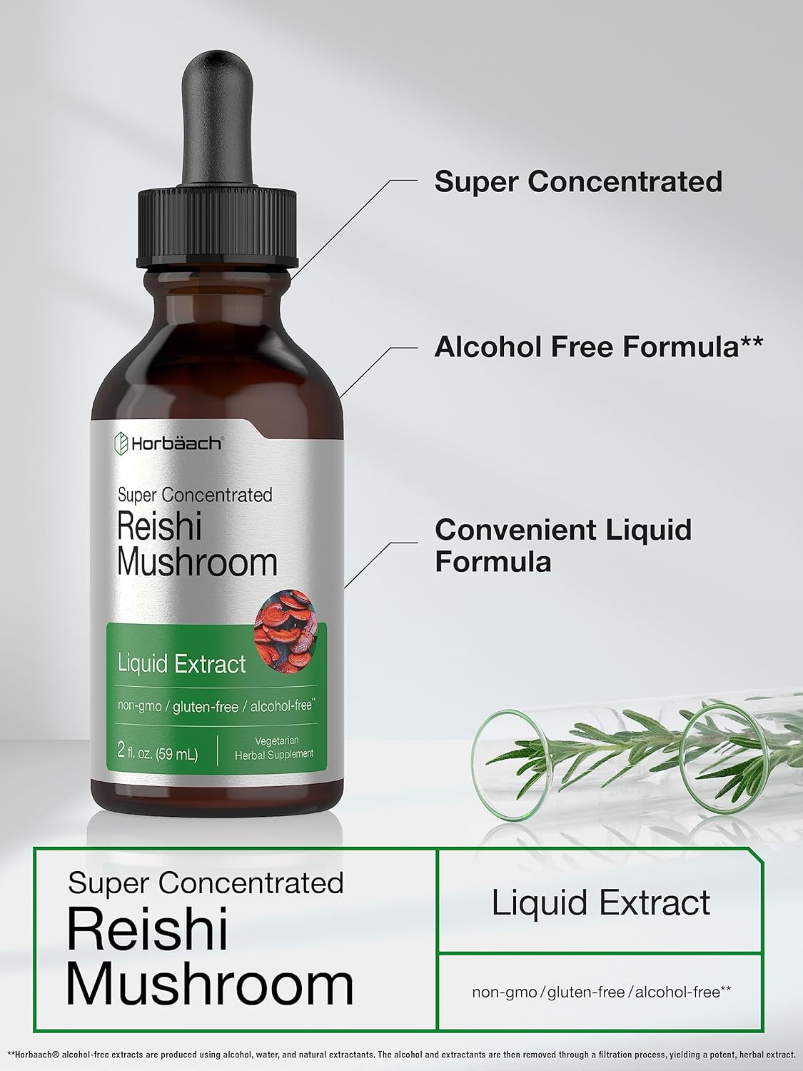 2 fl oz Horbäach Reishi Mushroom Liquid Extract Tincture - Vegetarian, Non-GMO, Gluten Free