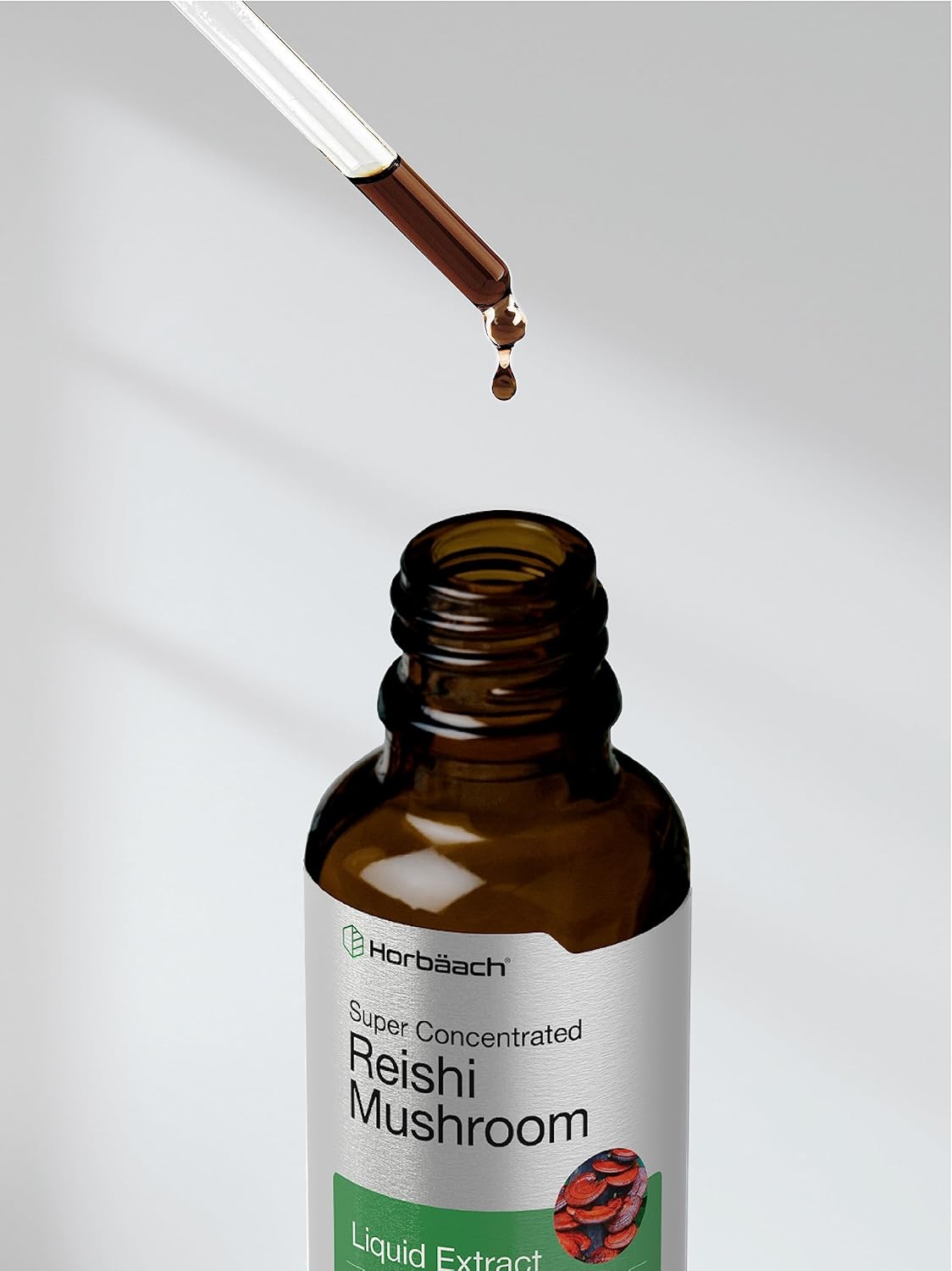 2 fl oz Horbäach Reishi Mushroom Liquid Extract Tincture - Vegetarian, Non-GMO, Gluten Free