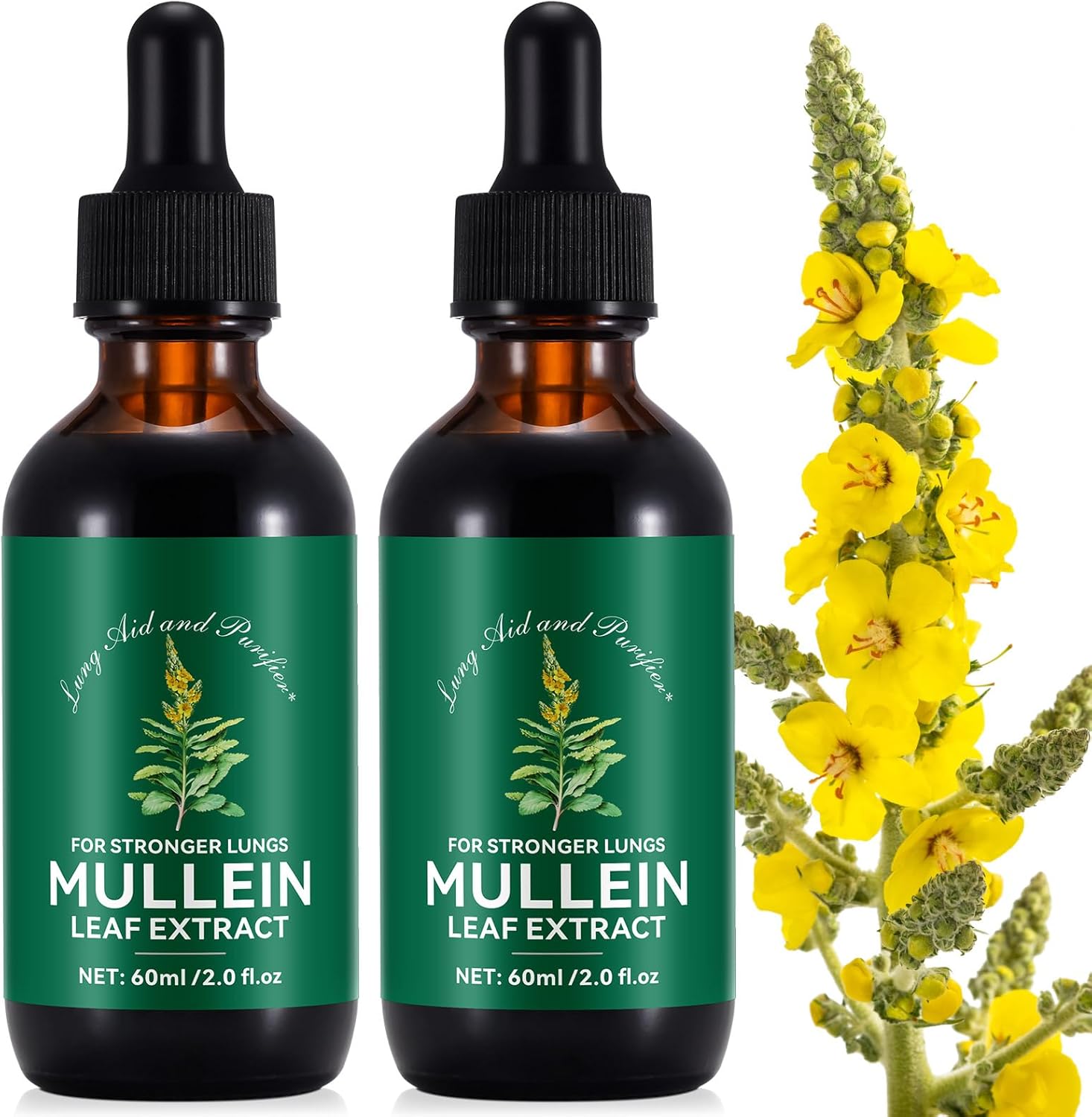 2 Fl Oz Mullein Leaf Drops for Lungs - Liquid Extract Supplement - Fast Absorption - Lung Cleanse - 2 Month Supply - 2 Pack