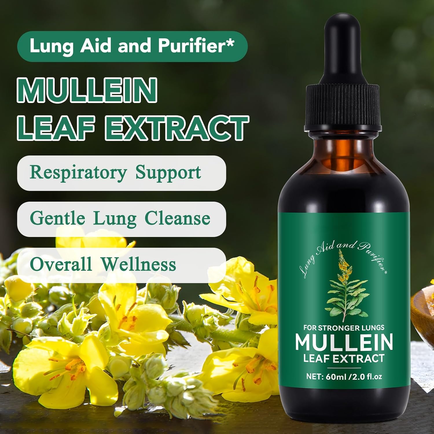 2 Fl Oz Mullein Leaf Drops for Lungs - Liquid Extract Supplement - Fast Absorption - Lung Cleanse - 2 Month Supply - 2 Pack