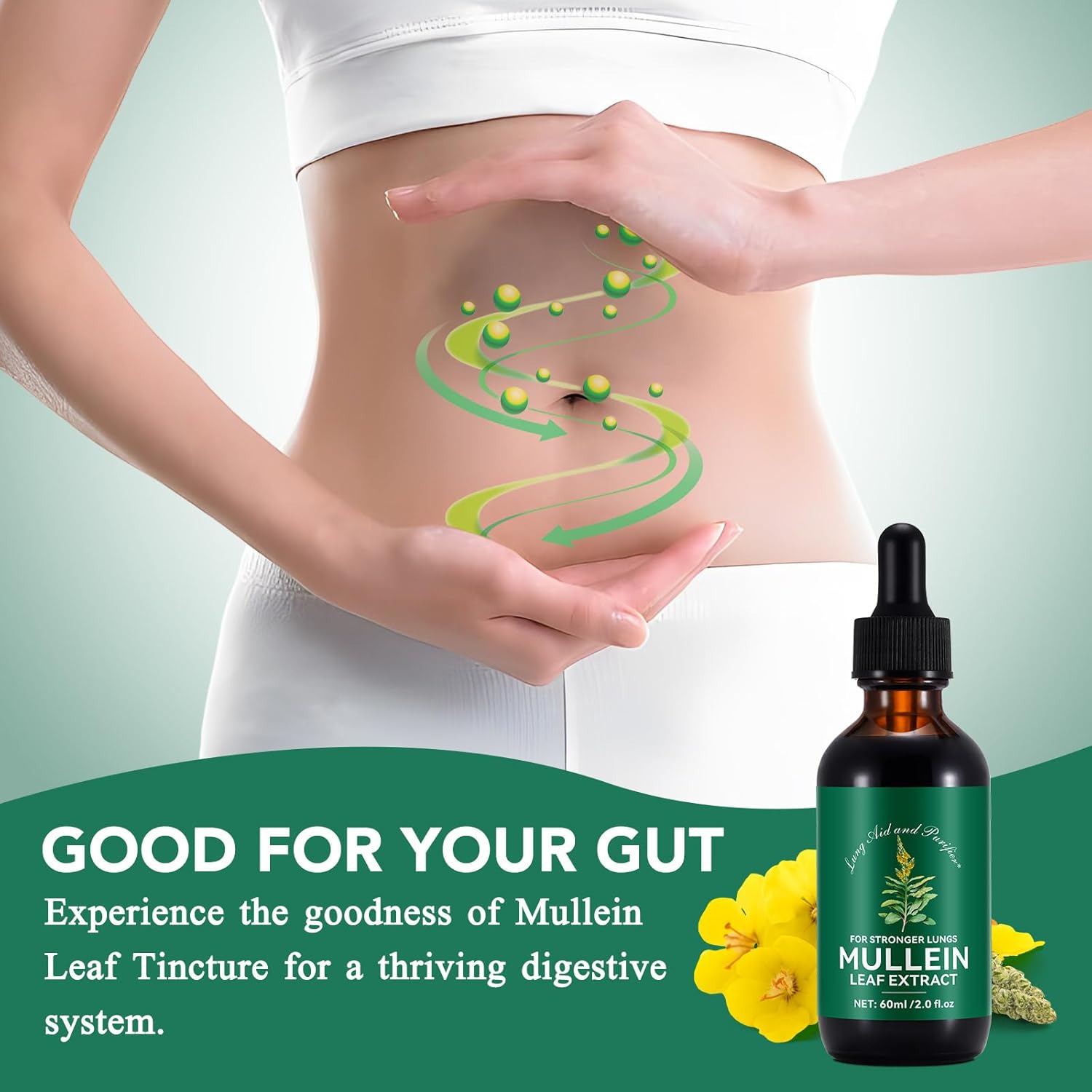 2 Fl Oz Mullein Leaf Drops for Lungs - Liquid Extract Supplement - Fast Absorption - Lung Cleanse - 2 Month Supply - 2 Pack