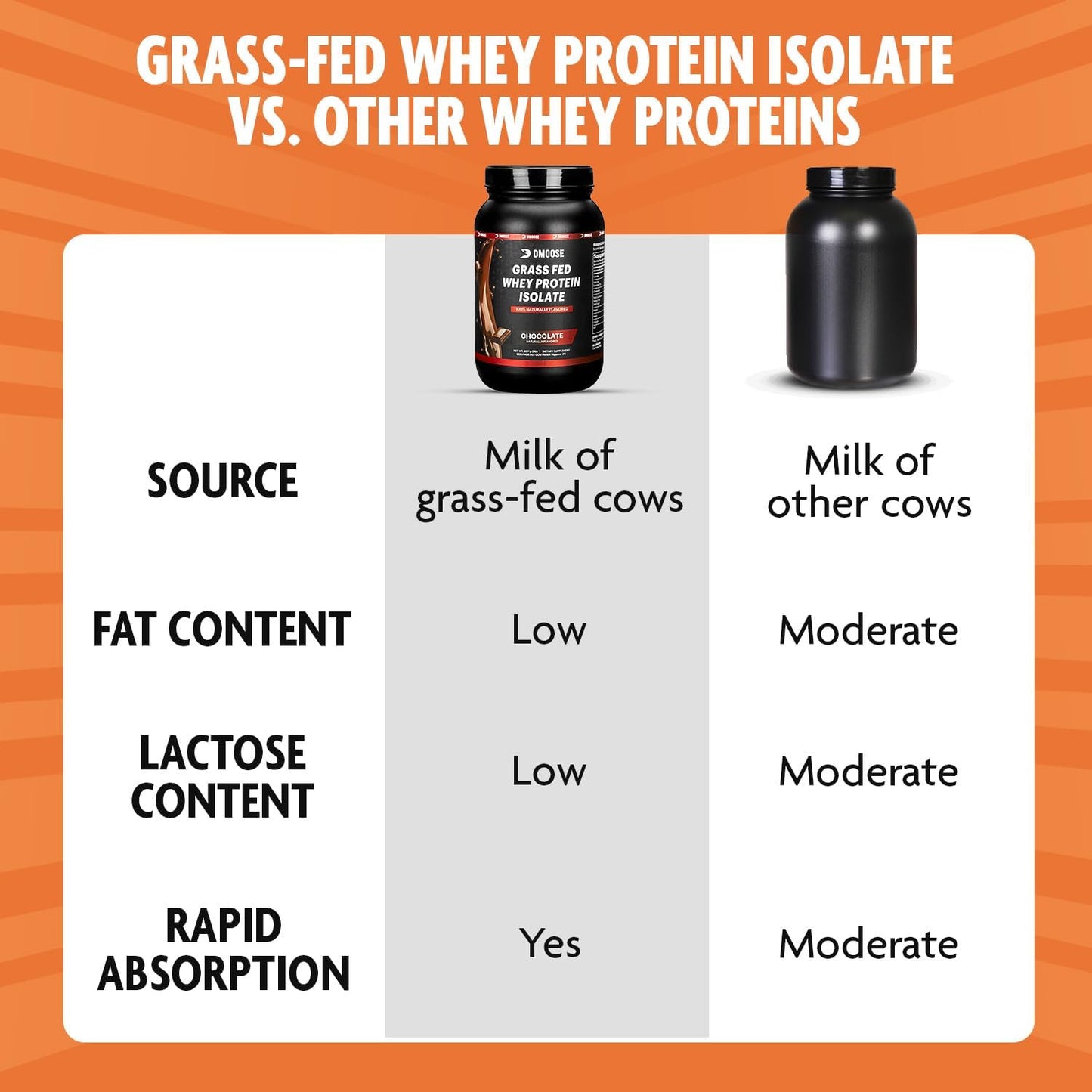 2 Lbs Chocolate Grass Fed Whey Protein Powder for Muscle Growth & Recovery - Naturally Sweetened, Rich in Amino Acids, Fast Absorbing Formula by DMoose