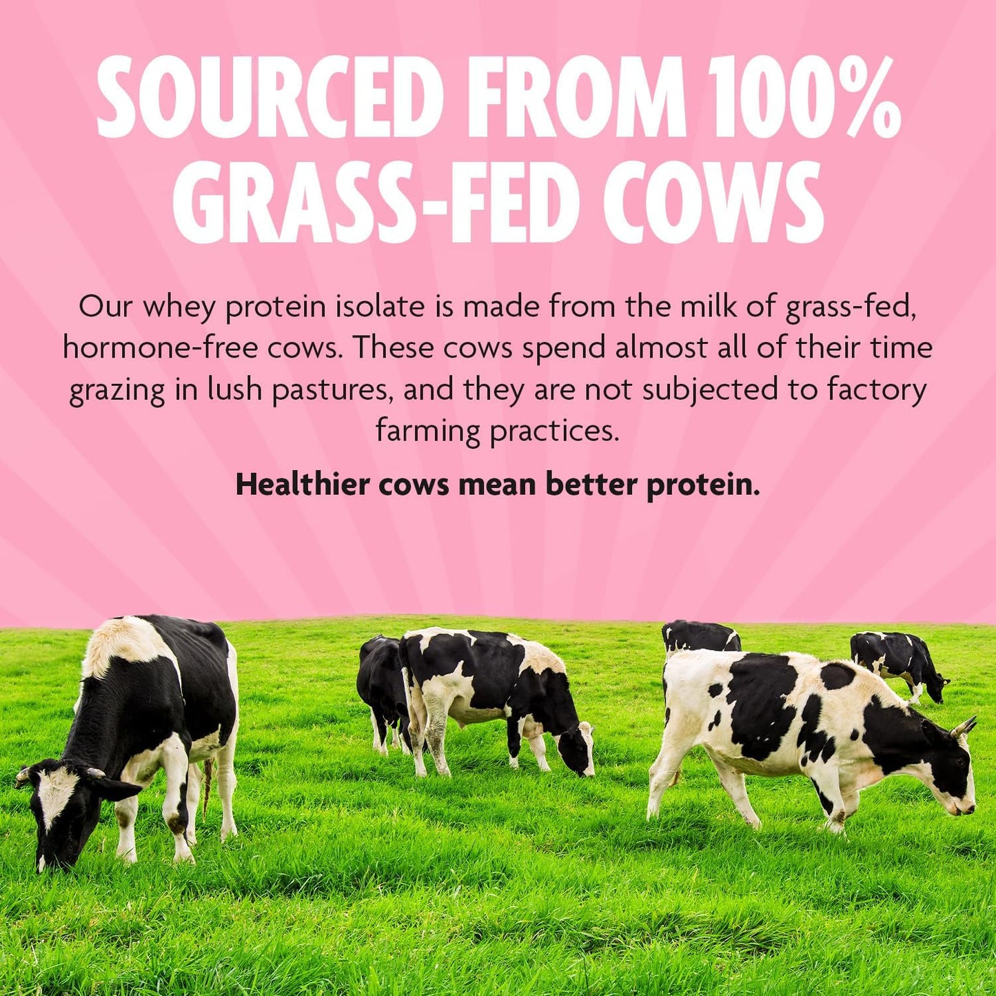 2 Lbs DMoose Grass Fed Wheimal Growth & Recovery, Naturally Sweetened & Flavored, Amino Acids, Fast Absorbing - Strawberry Flavor