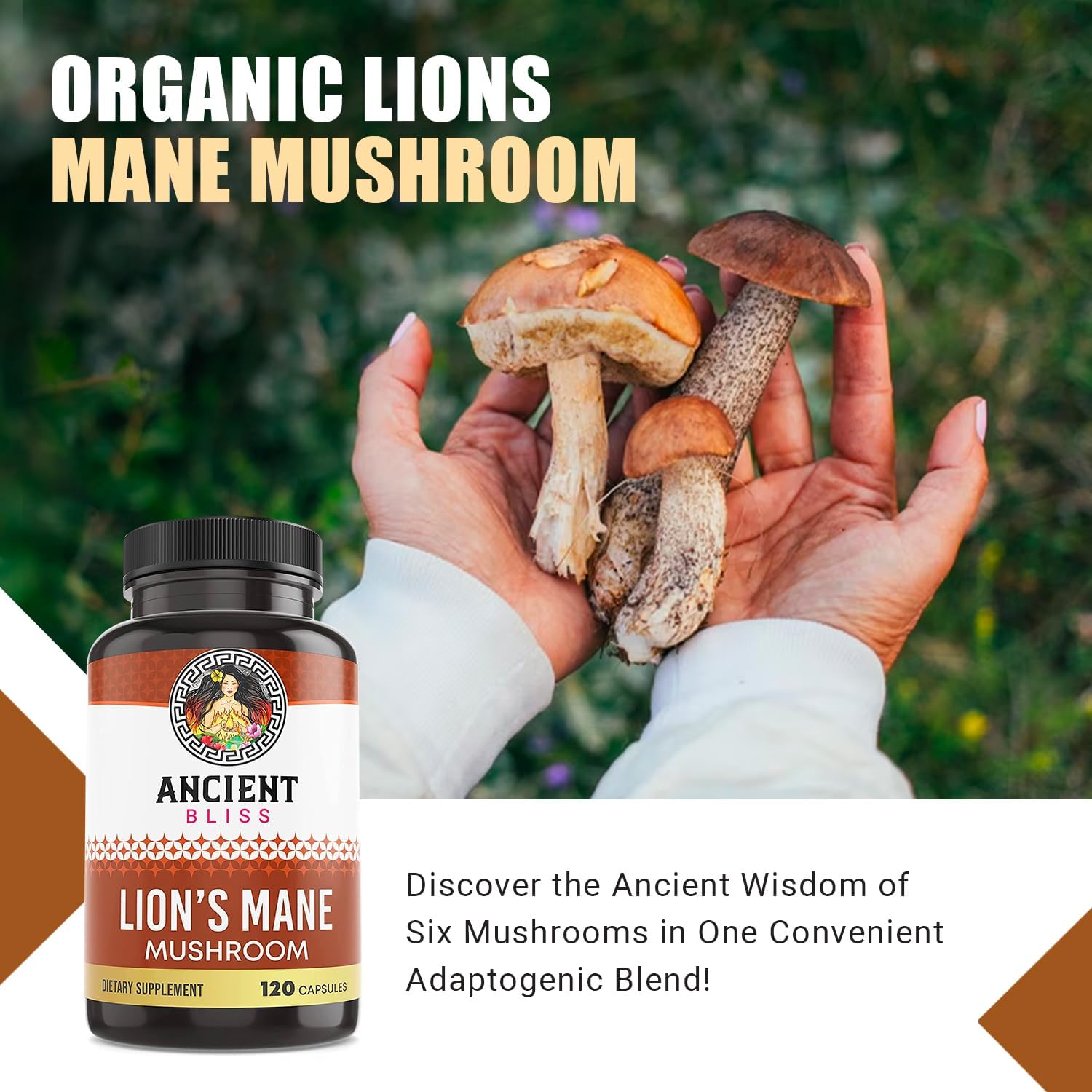 2 Month Supply of Ancient Bliss Lion's Mane Supplement - 120 Vegan Mushroom Capsules for Mental Clarity, Energy, Focus, Memory, and Immune Support
