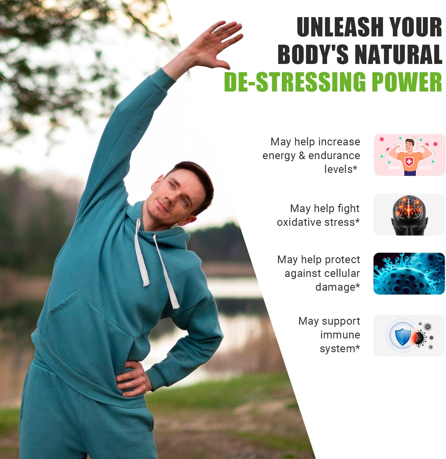 2 Month Supply of Ancient Bliss Lion's Mane Supplement - 120 Vegan Mushroom Capsules for Mental Clarity, Energy, Focus, Memory, and Immune Support