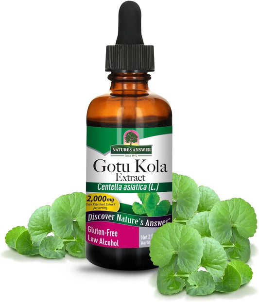 2 oz Gotu Kola Herb Tincture - Organic Alcohol | Immune System Support Supplement | Made in USA