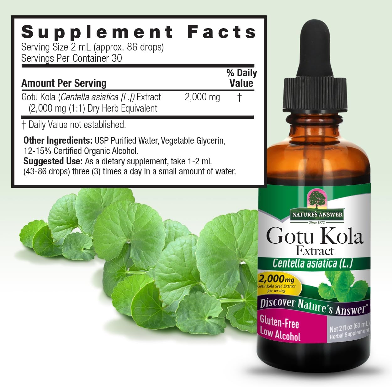 2 oz Gotu Kola Herb Tincture - Organic Alcohol | Immune System Support Supplement | Made in USA