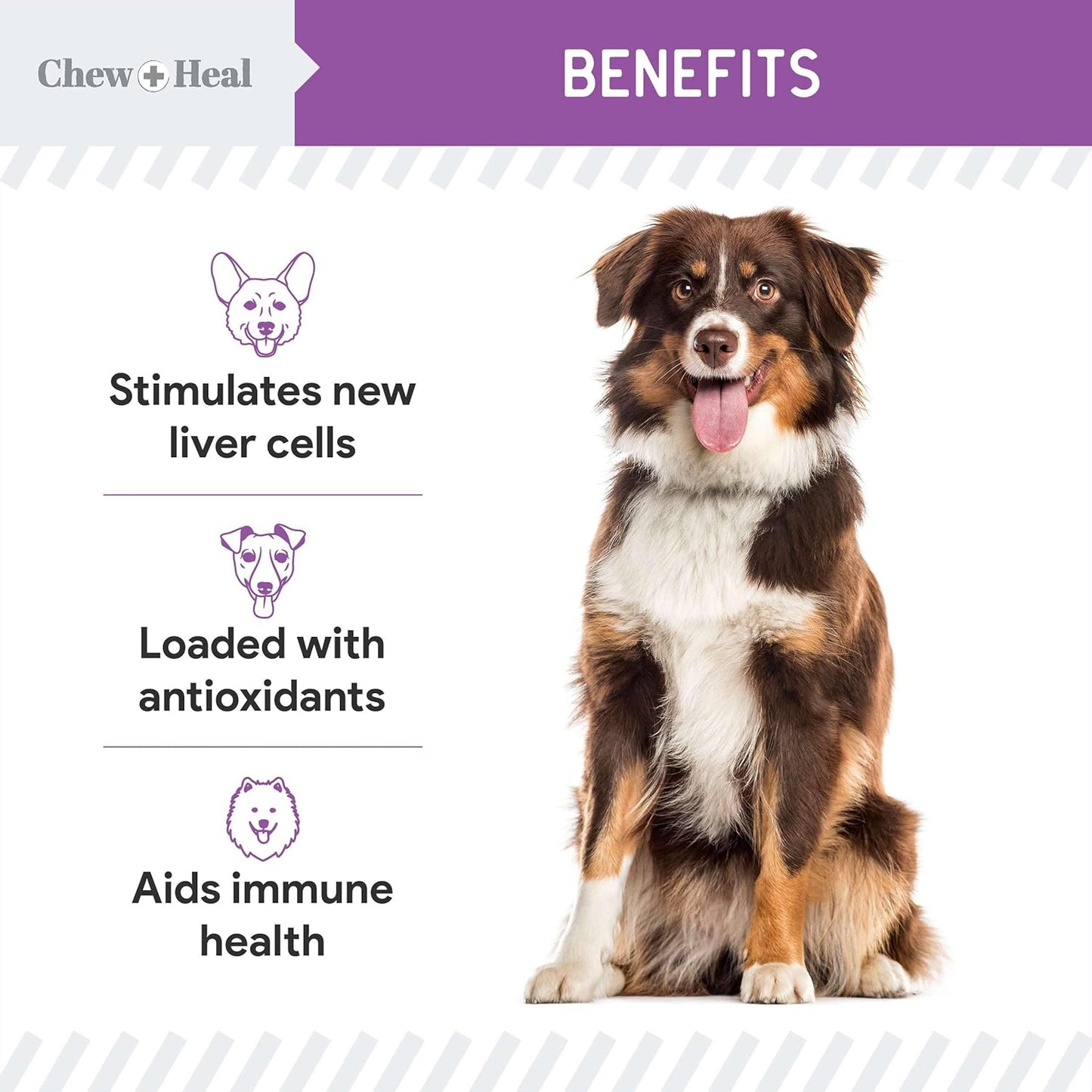 2 oz Liquid Milk Thistle Supplement with Wild Alaskan Salmon Oil for Dogs Liver and Kidney Support by Chew + Heal Labs - Made in USA