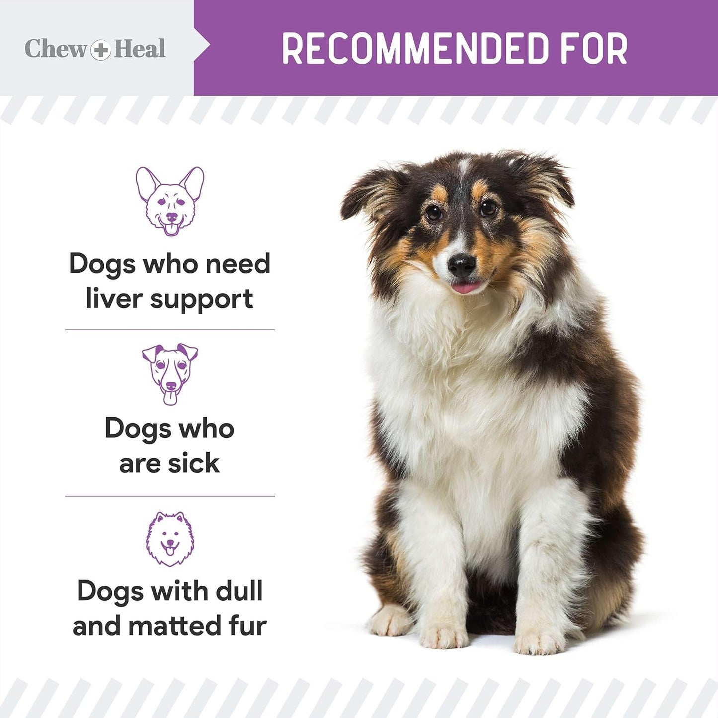 2 oz Liquid Milk Thistle Supplement with Wild Alaskan Salmon Oil for Dogs Liver and Kidney Support by Chew + Heal Labs - Made in USA