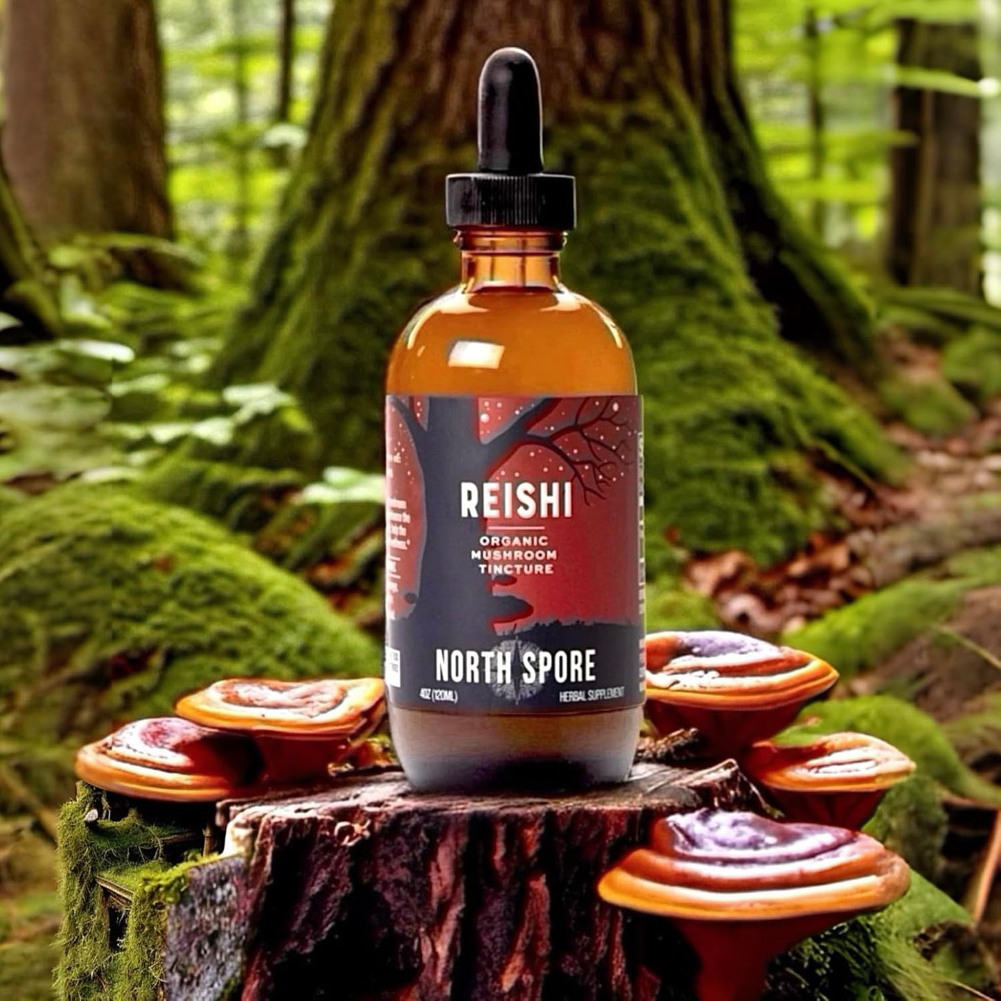 2 oz North Spore Organic Reishi Mushroom Tincture | 100% Fruiting Body Extract | Immune & Brain Support | Certified Organic, Vegan, Non-GMO | Adaptogenic & Nootropic | USA Made