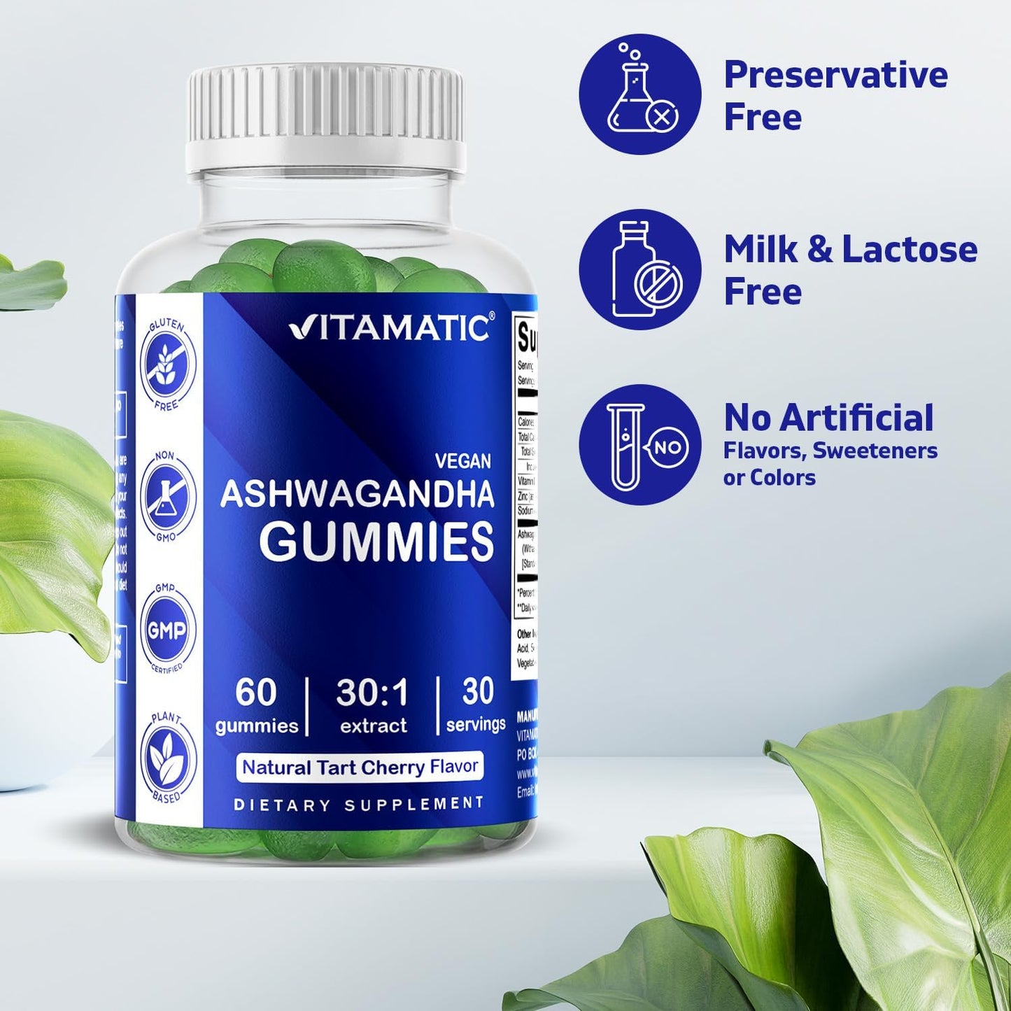 2 Pack Ashwagandha Gummies - 60 Vegan Gummies with 30X Concentrate Extract - High Withanolides Content