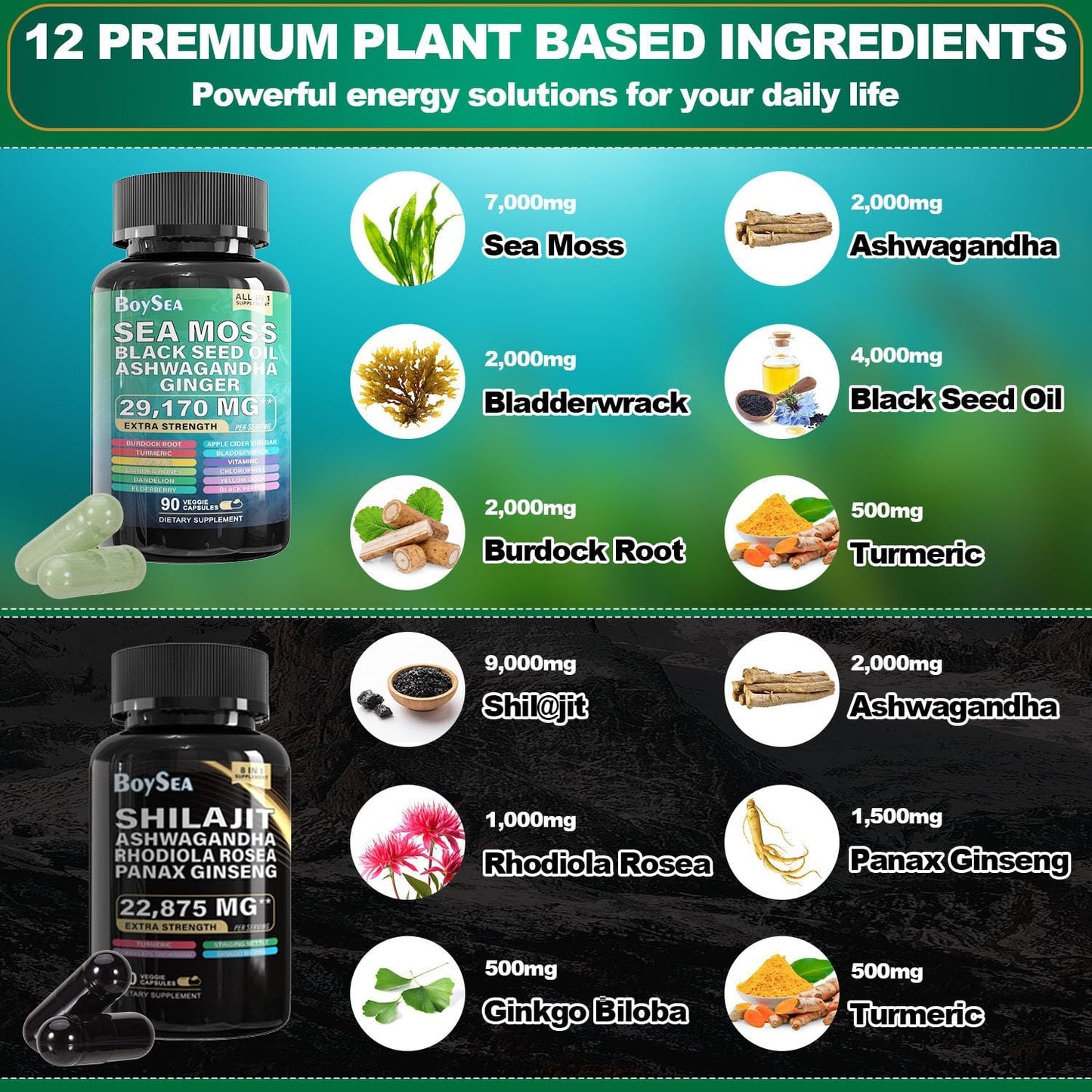 2-Pack Boysea Shilajit and Sea Moss Bundle - 90 Count - Various Supplements - Boost Energy and Immunity - 100% Natural Ingredients