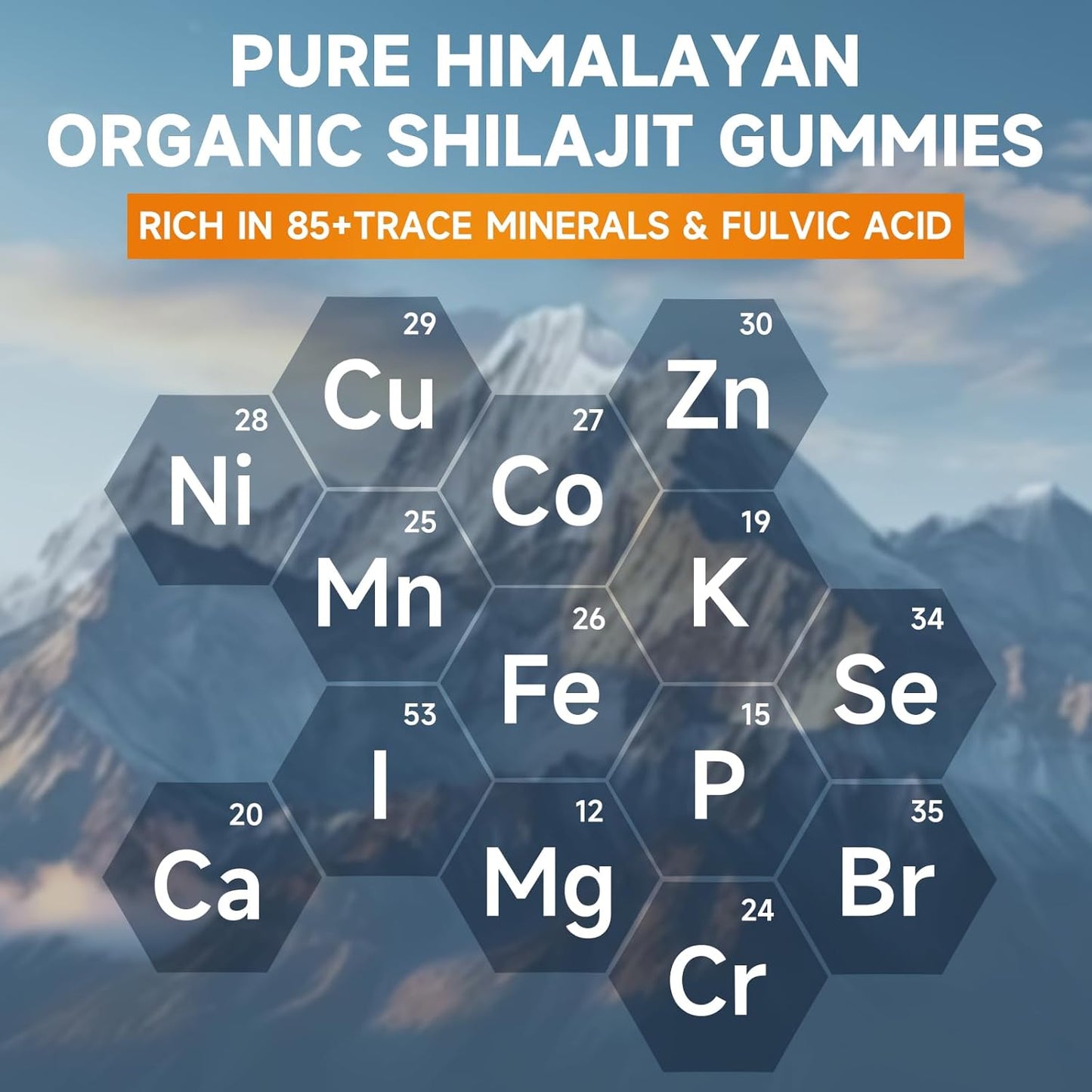 2 Pack BVIVLOO Sugar-Free Shilajit Gummies 1000mg - Pure Himalayan Supplement for Energy, Brain, & Immunity - 120 Gummies