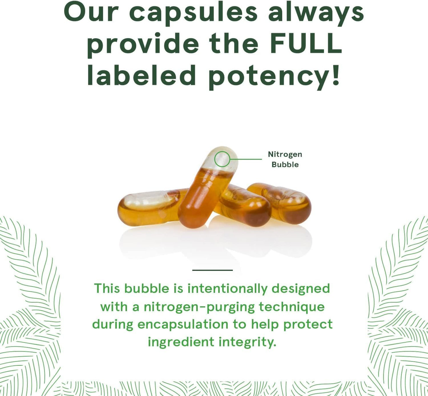 2-Pack DEVA Vegan Omega-3 DHA-EPA Capsules, Delayed Release, 90 Capsules Each, Made from Micro Algae