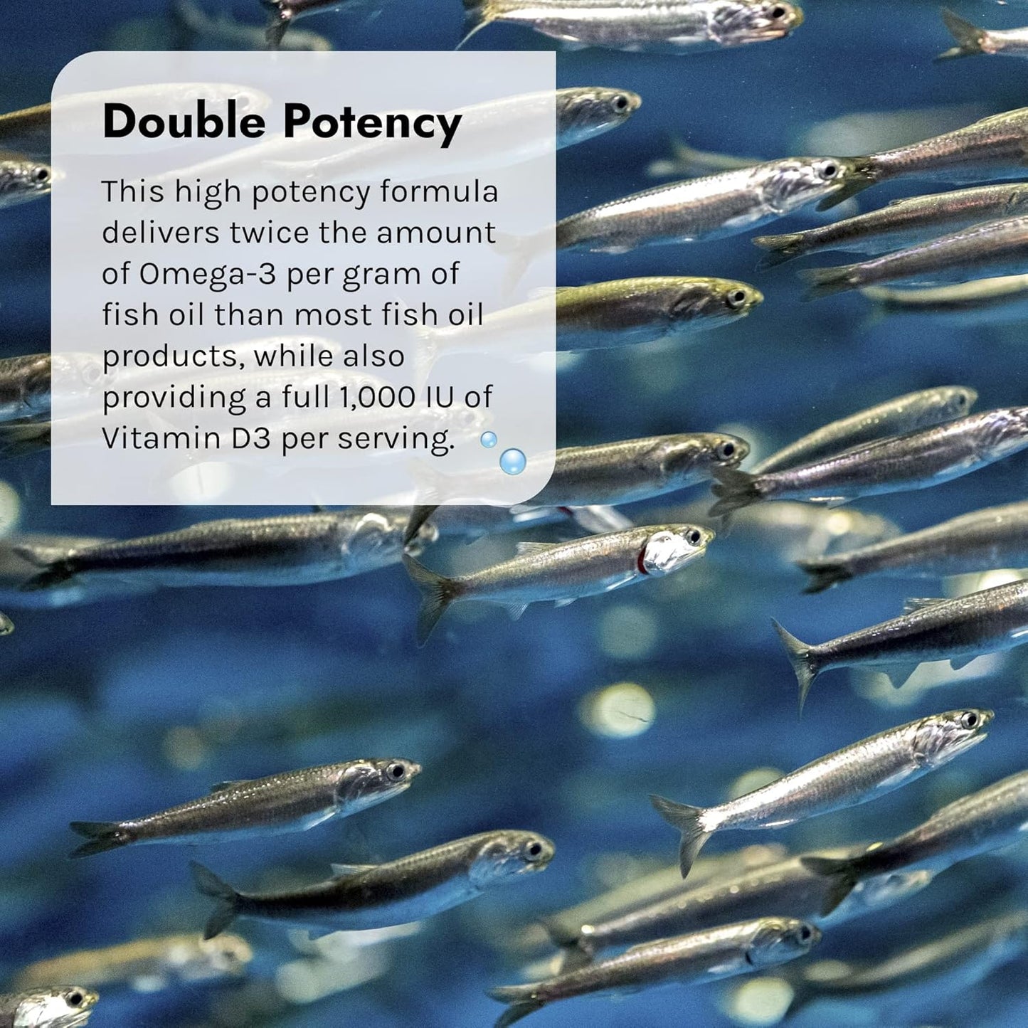 2-Pack Irwin Naturals Double-Potency Fish Oil Pure - 60 Liquid Soft-Gels, 2,000 mg Purified Fish Oil with Vitamin D3 - 60 Servings