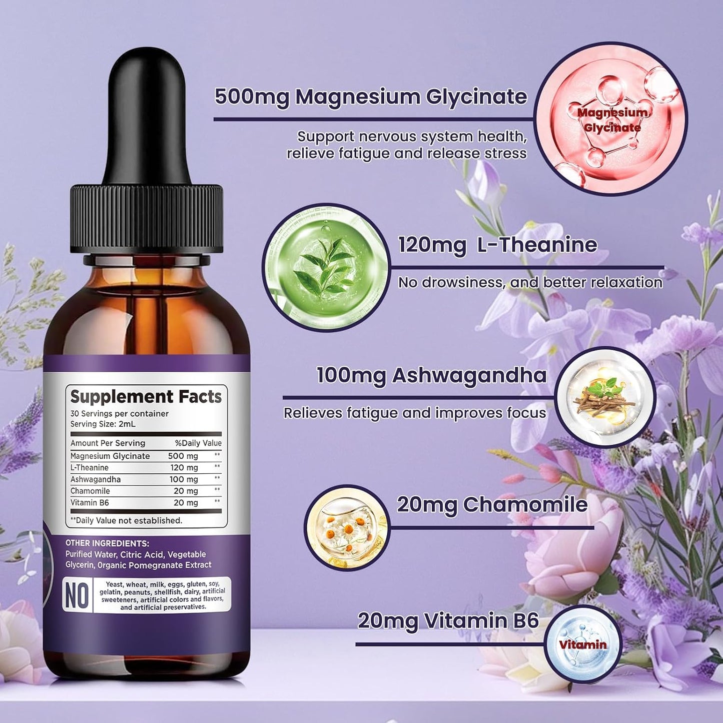 2 Pack Magnesium Glycinate Liquid Drops 500mg with Vitamin B6, Ashwagandha, L-Theanine, Chamomile - High Absorption Magnesium Glycinate Supplement for Sleep, Stress, Energy - Pomegranate Flavor
