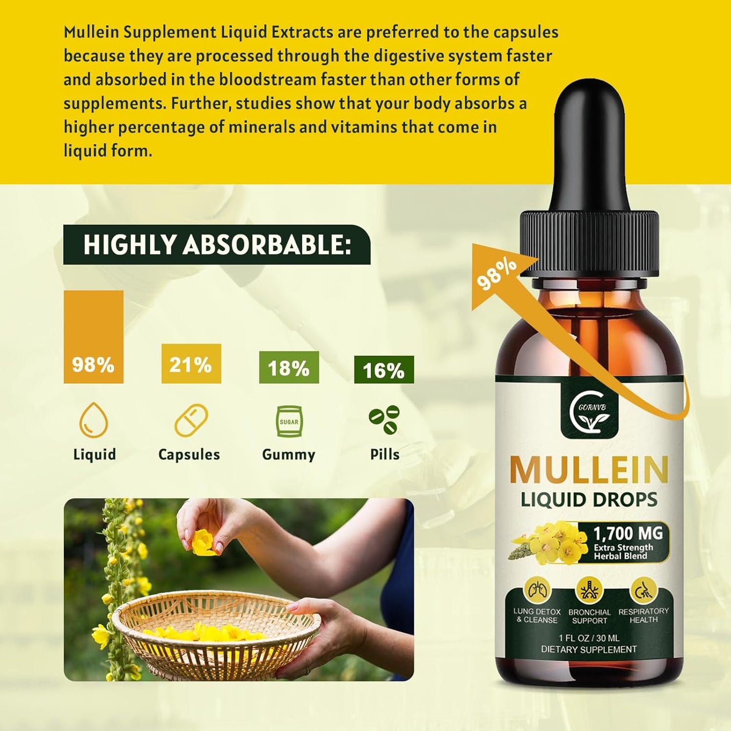 2 Pack Mullein Drops for Lungs - Respiratory Support with Elderberry, Marshmallow Root, and Orange Peel - Bronchial Health - 1 Fl Oz