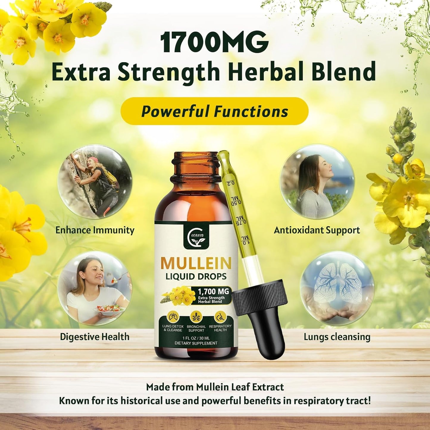 2 Pack Mullein Drops for Lungs - Respiratory Support with Elderberry, Marshmallow Root, and Orange Peel - Bronchial Health - 1 Fl Oz