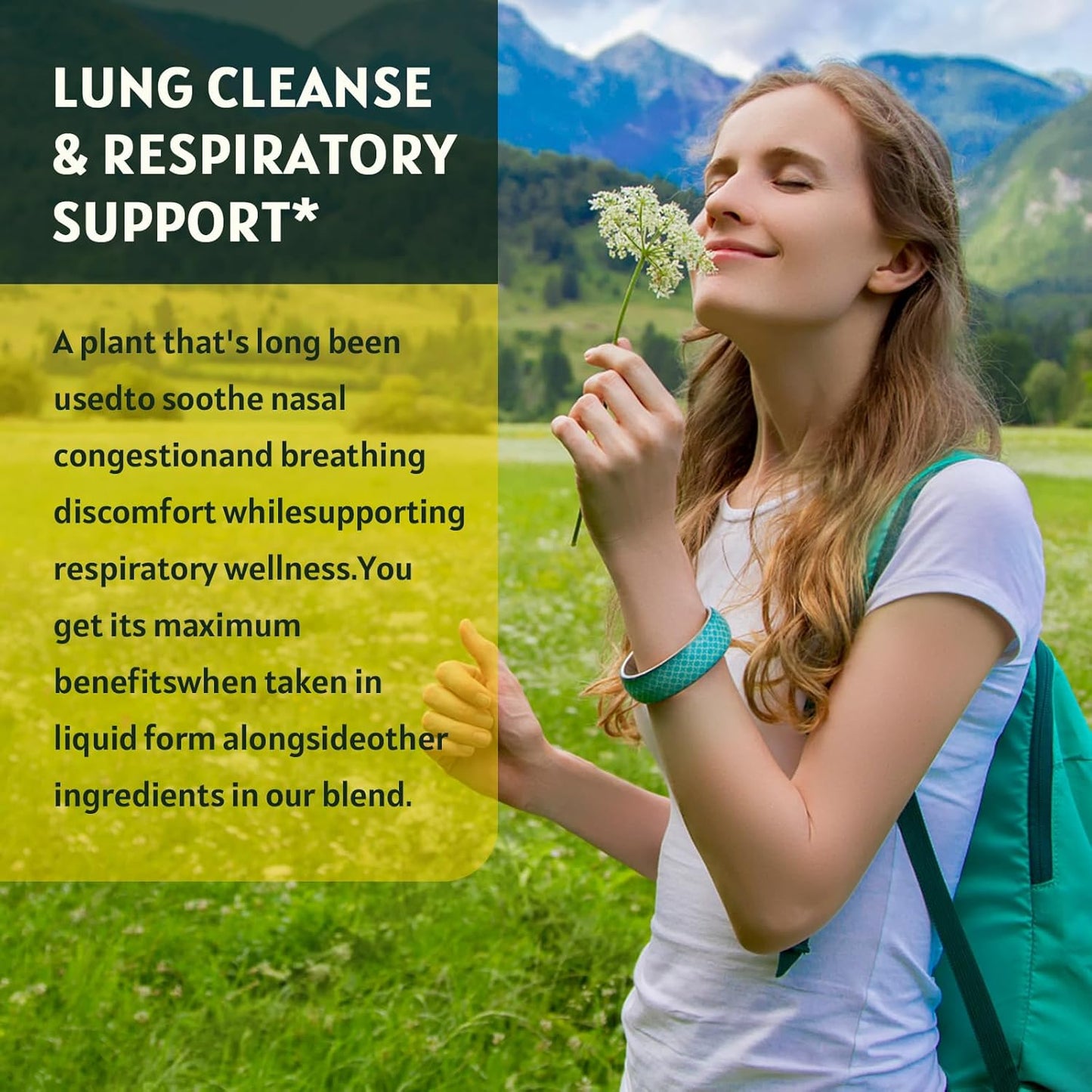 2 Pack Mullein Drops for Lungs - Respiratory Support with Elderberry, Marshmallow Root, and Orange Peel - Bronchial Health - 1 Fl Oz