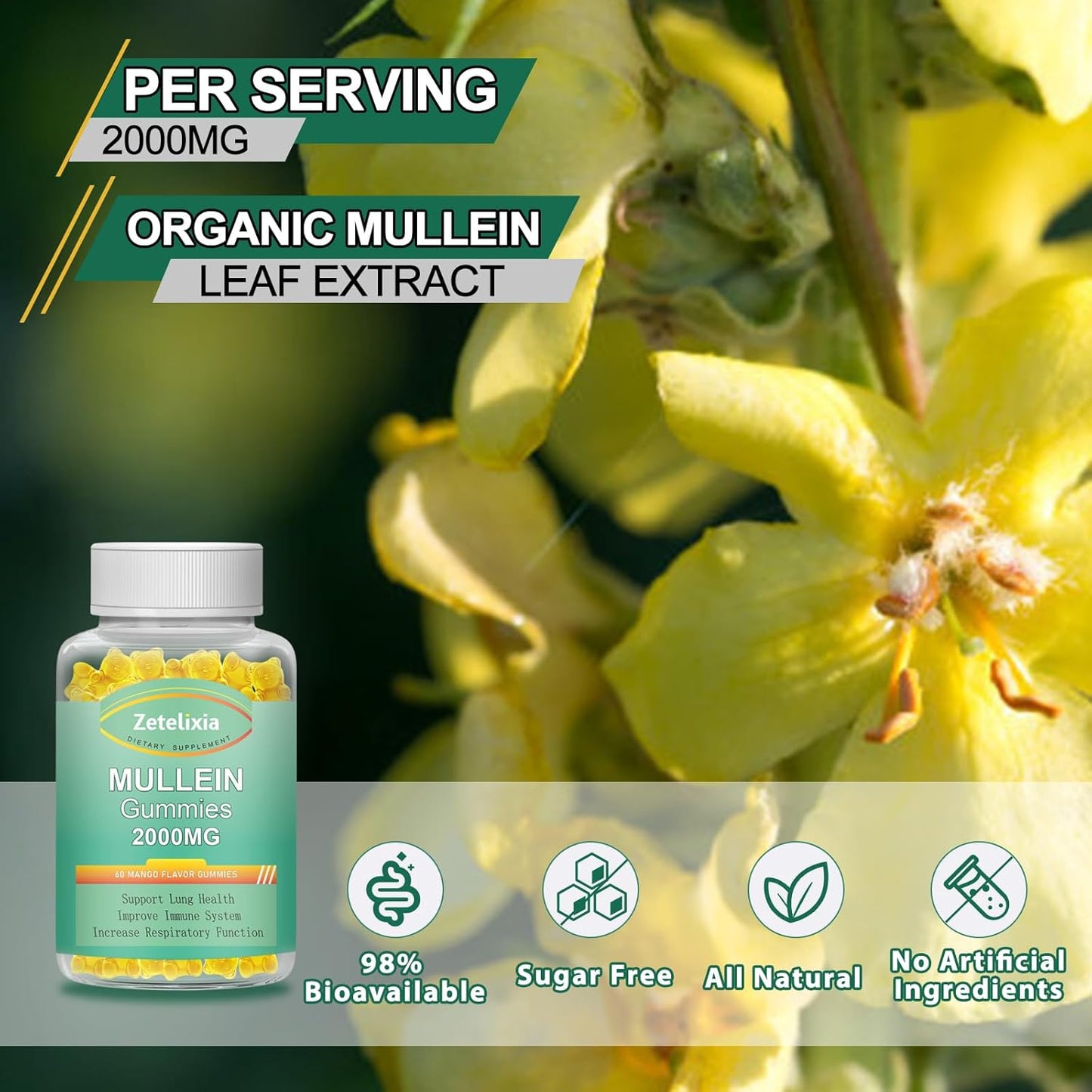 2 Pack Mullein Gummies for Lung Health - Mullein Leaf Extract, Lung Detox Cleanse, Immune Support Supplement, Mucus Relief - 120 Vegan Gummies