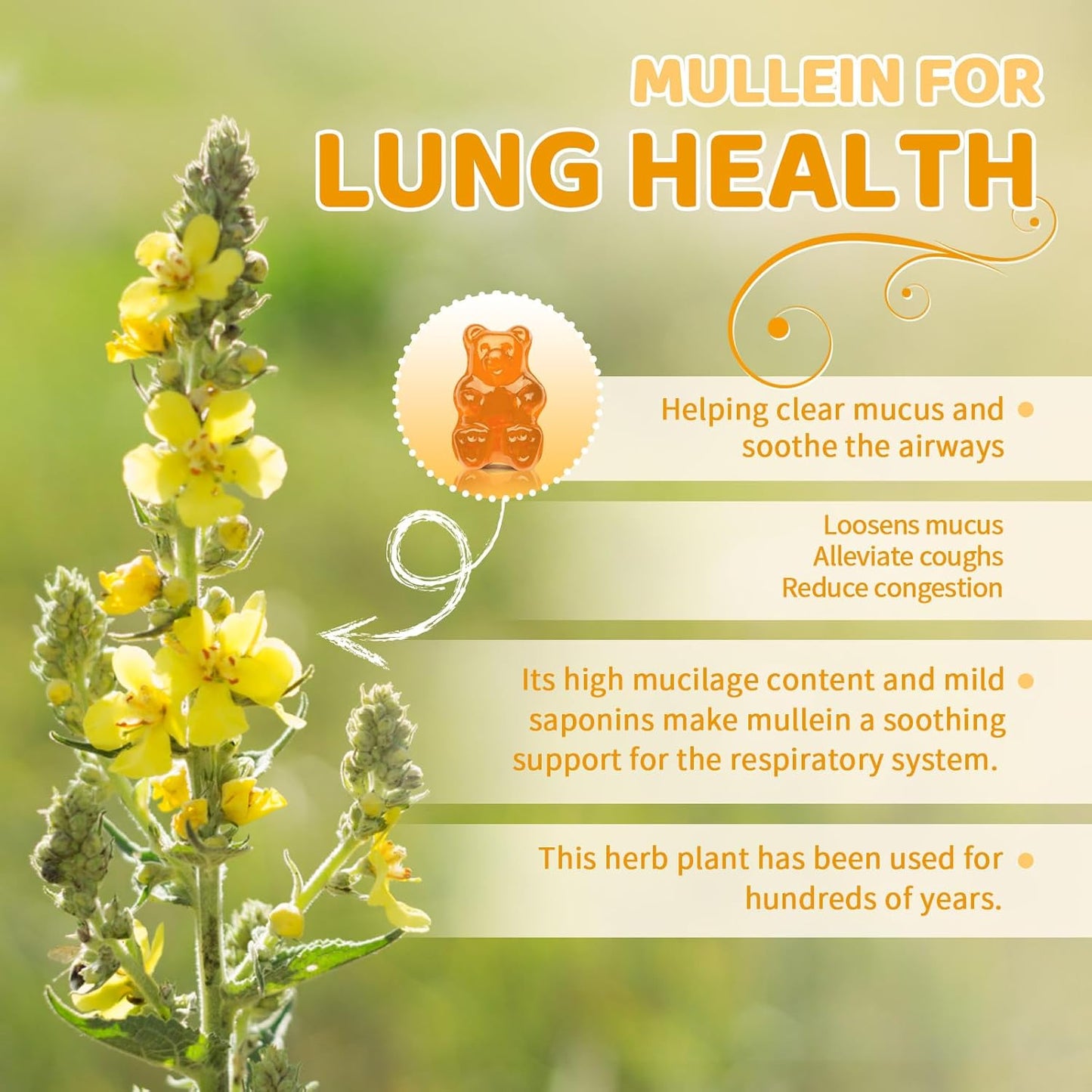 2 Pack Mullein Leaf Extract Chewable Gummies for Lung & Respiratory Support with Quercetin, Bromelain, and D3