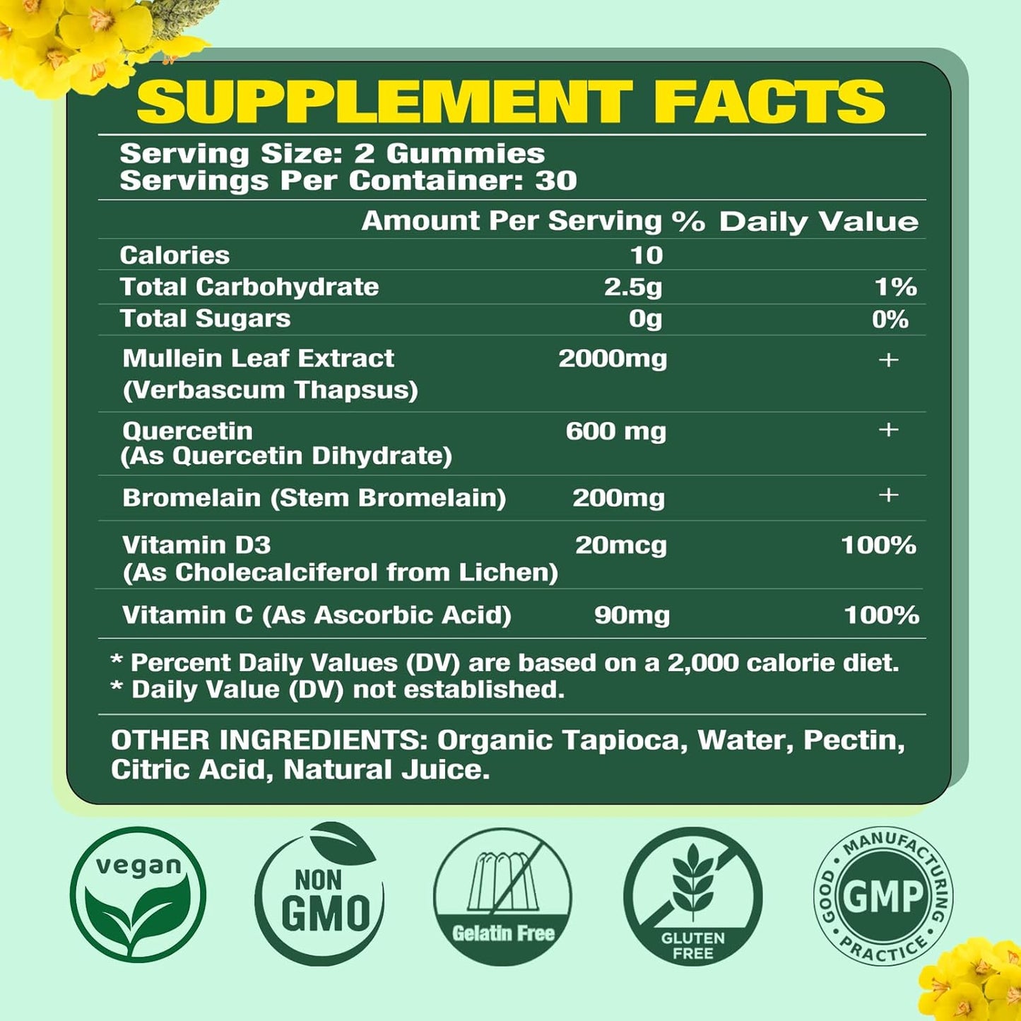 2 Pack Mullein Leaf Gummies with Bromelain & Quercetin - Lung Cleanse, Digestive Support, Immune Boost - 120 Mango Flavored Gummies