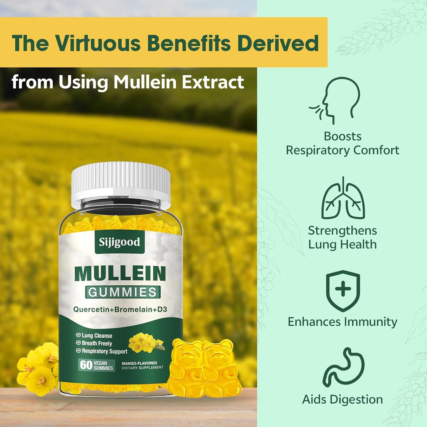 2 Pack Mullein Leaf Gummies with Bromelain & Quercetin - Lung Cleanse, Digestive Support, Immune Boost - 120 Mango Flavored Gummies