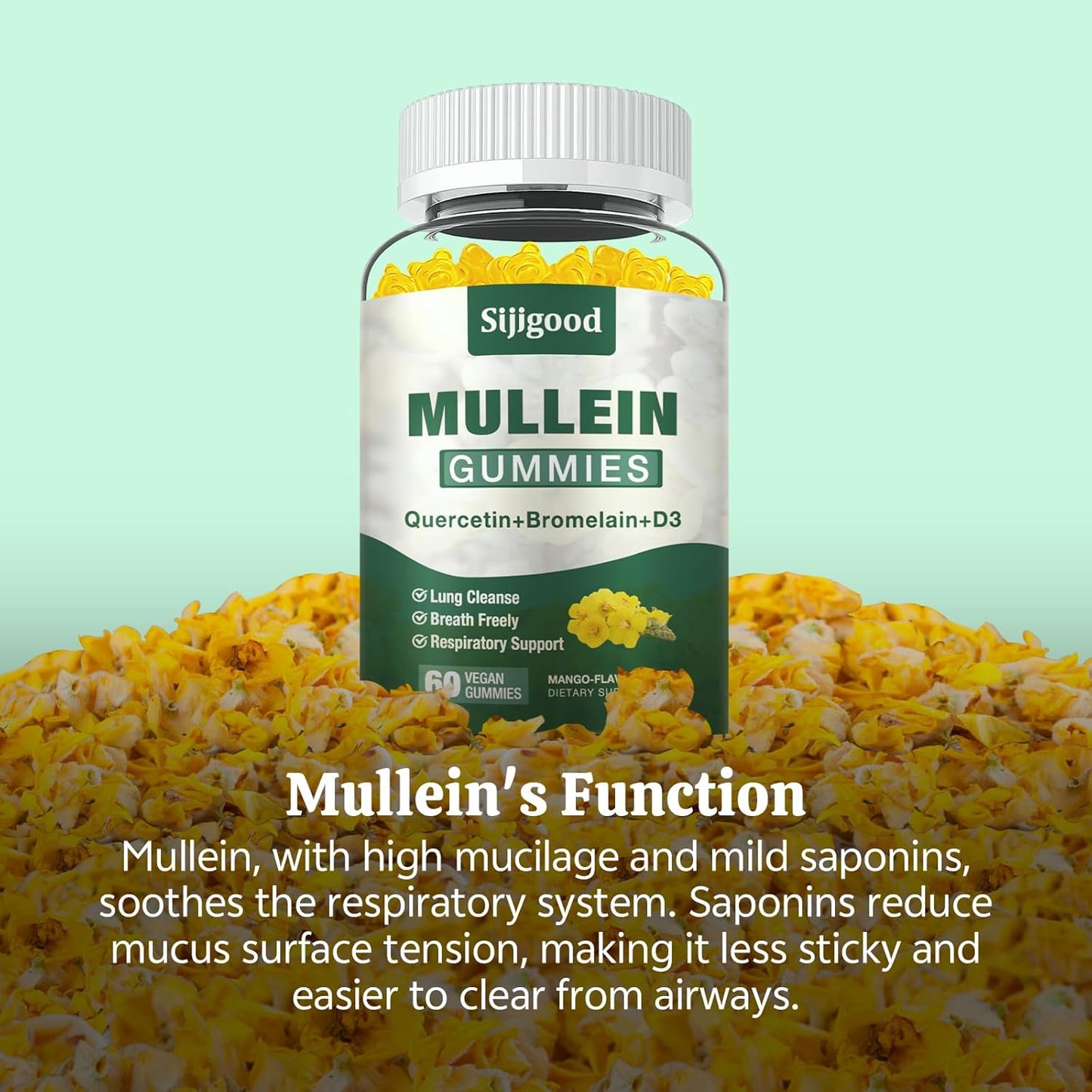 2 Pack Mullein Leaf Gummies with Bromelain & Quercetin - Lung Cleanse, Digestive Support, Immune Boost - 120 Mango Flavored Gummies