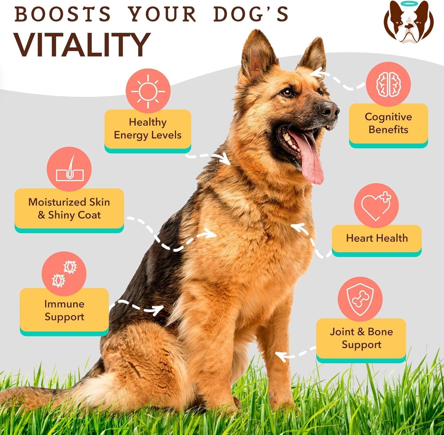 2 Pack Natural Dog Company Ultra Omega 3 Fish Oil 32 oz for Dogs - Shedding & Itch Relief, Salmon Oil Supplement for Large Breed or Multi-Dog Families