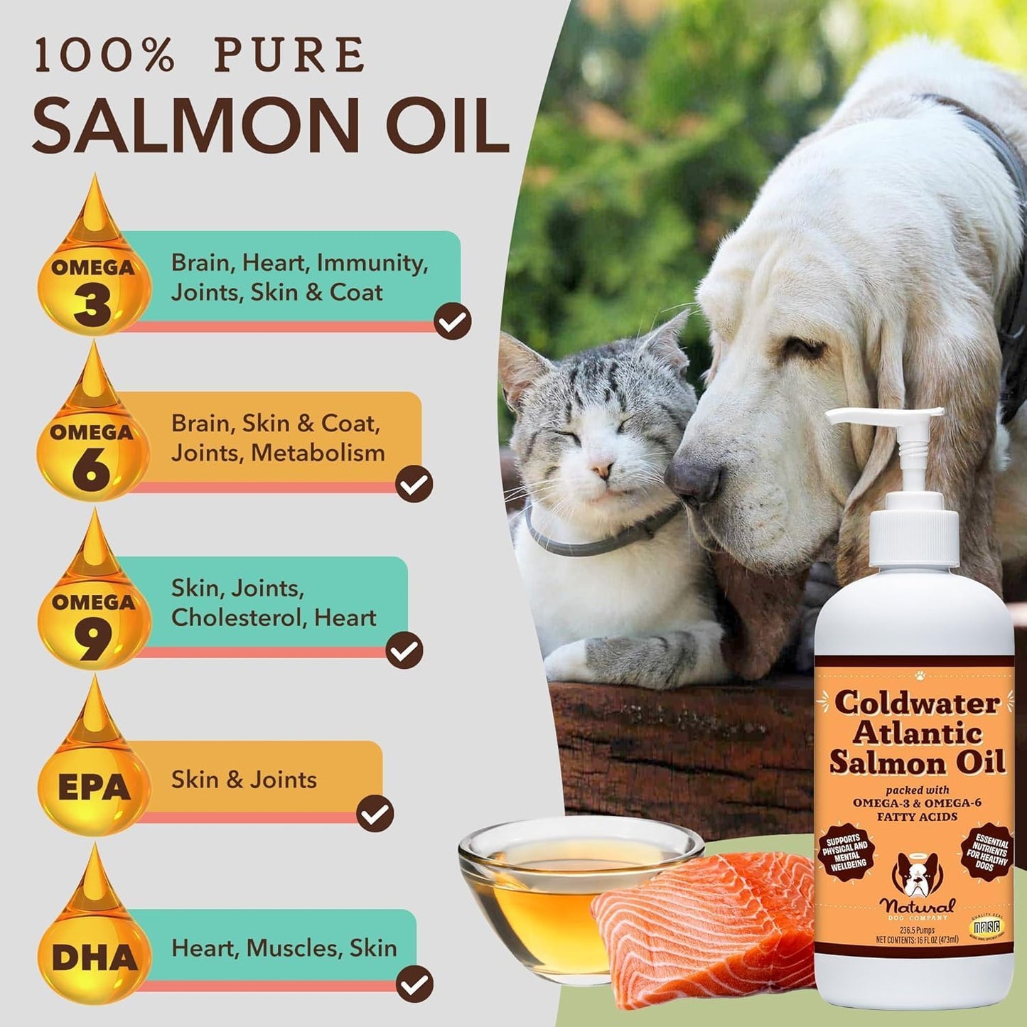 2 Pack of Natural Dog Company Coldwater Atlantic Salmon - 16oz - Omega 3 Fish Oil Supplement for Senior Dogs with Joint Support - Easy to Digest - Ideal for Large Breed and Multi Dog Families