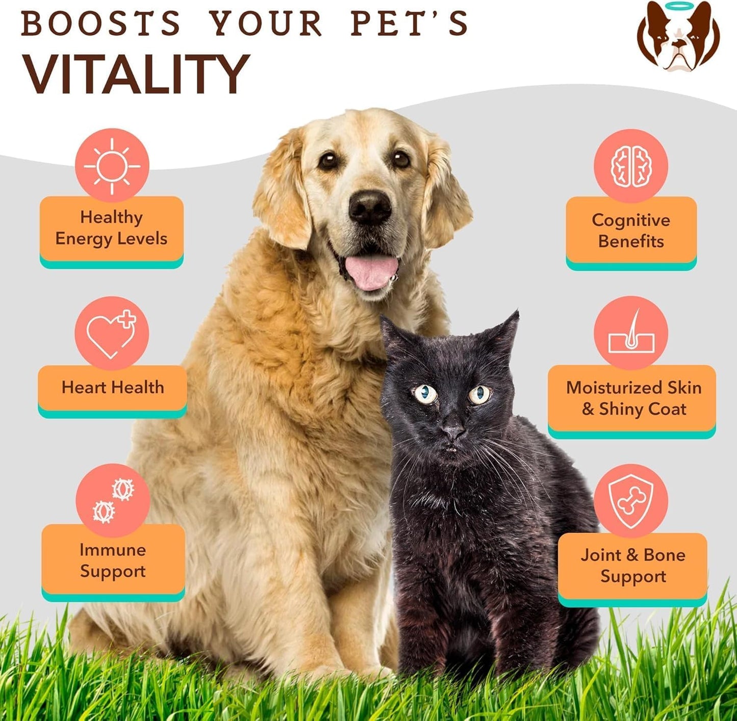 2 Pack of Natural Dog Company Coldwater Atlantic Salmon - 16oz - Omega 3 Fish Oil Supplement for Senior Dogs with Joint Support - Easy to Digest - Ideal for Large Breed and Multi Dog Families