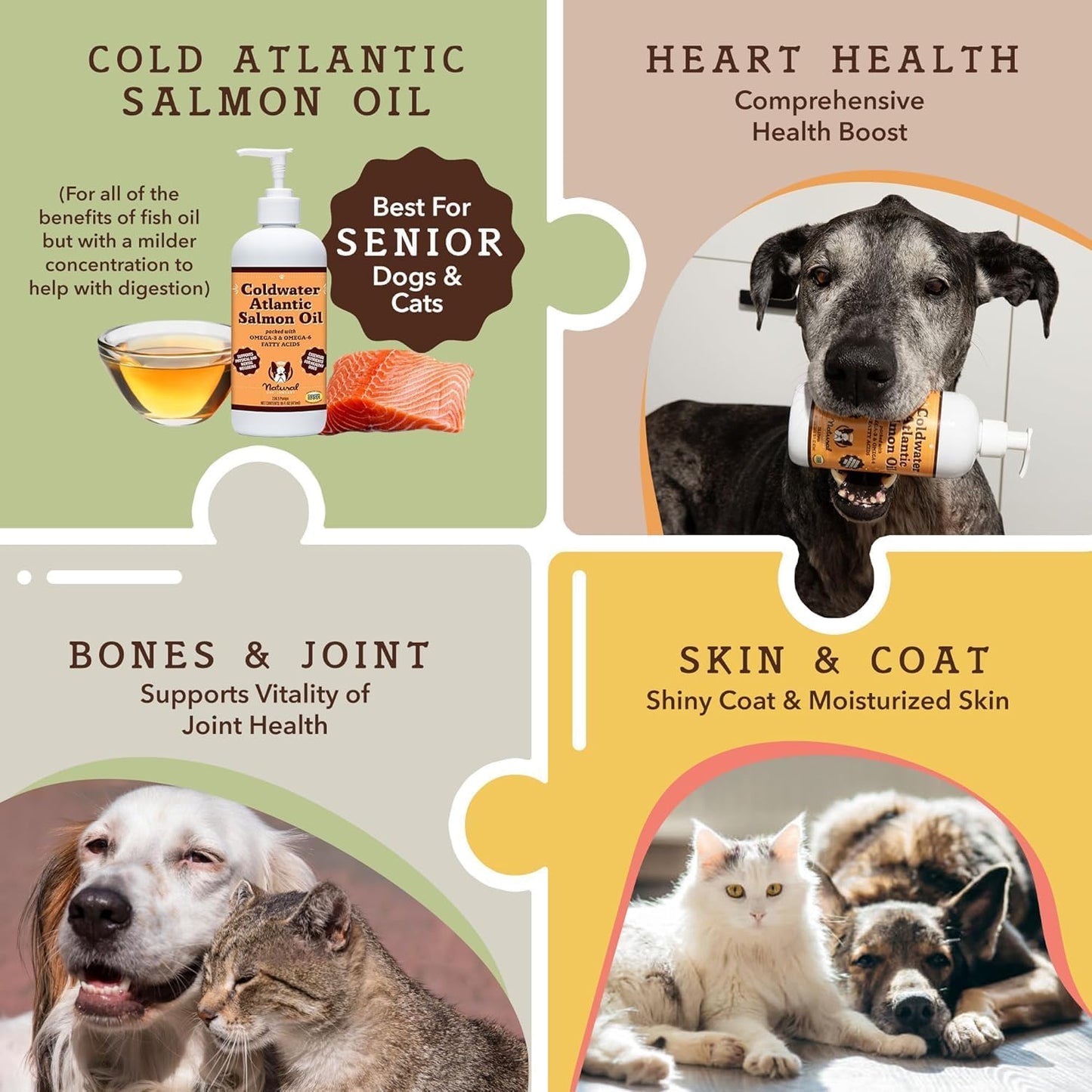 2 Pack of Natural Dog Company Coldwater Atlantic Salmon - 16oz - Omega 3 Fish Oil Supplement for Senior Dogs with Joint Support - Easy to Digest - Ideal for Large Breed and Multi Dog Families