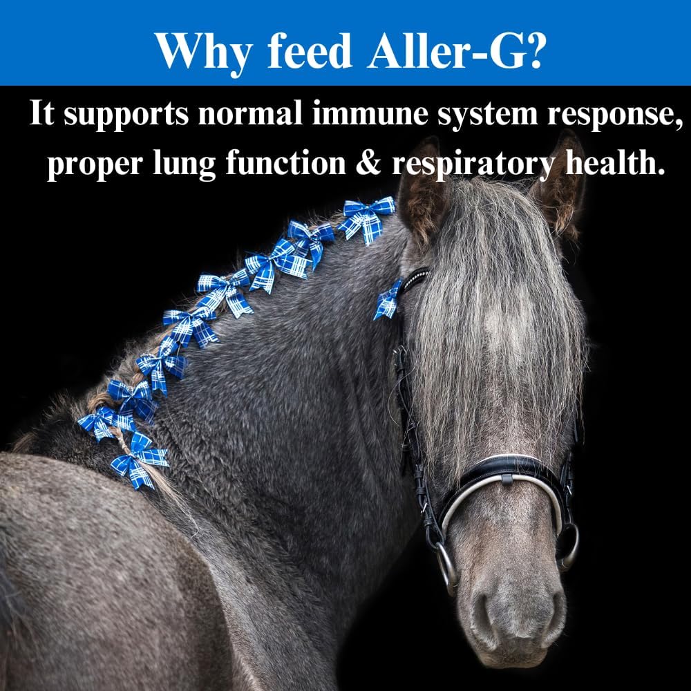 2 Pack of SU-PER Aller-G Respiratory Support Powder for Horses - Boosts Immune System & Lung Health, Fights Allergies & Pollutants - 2.5 lbs