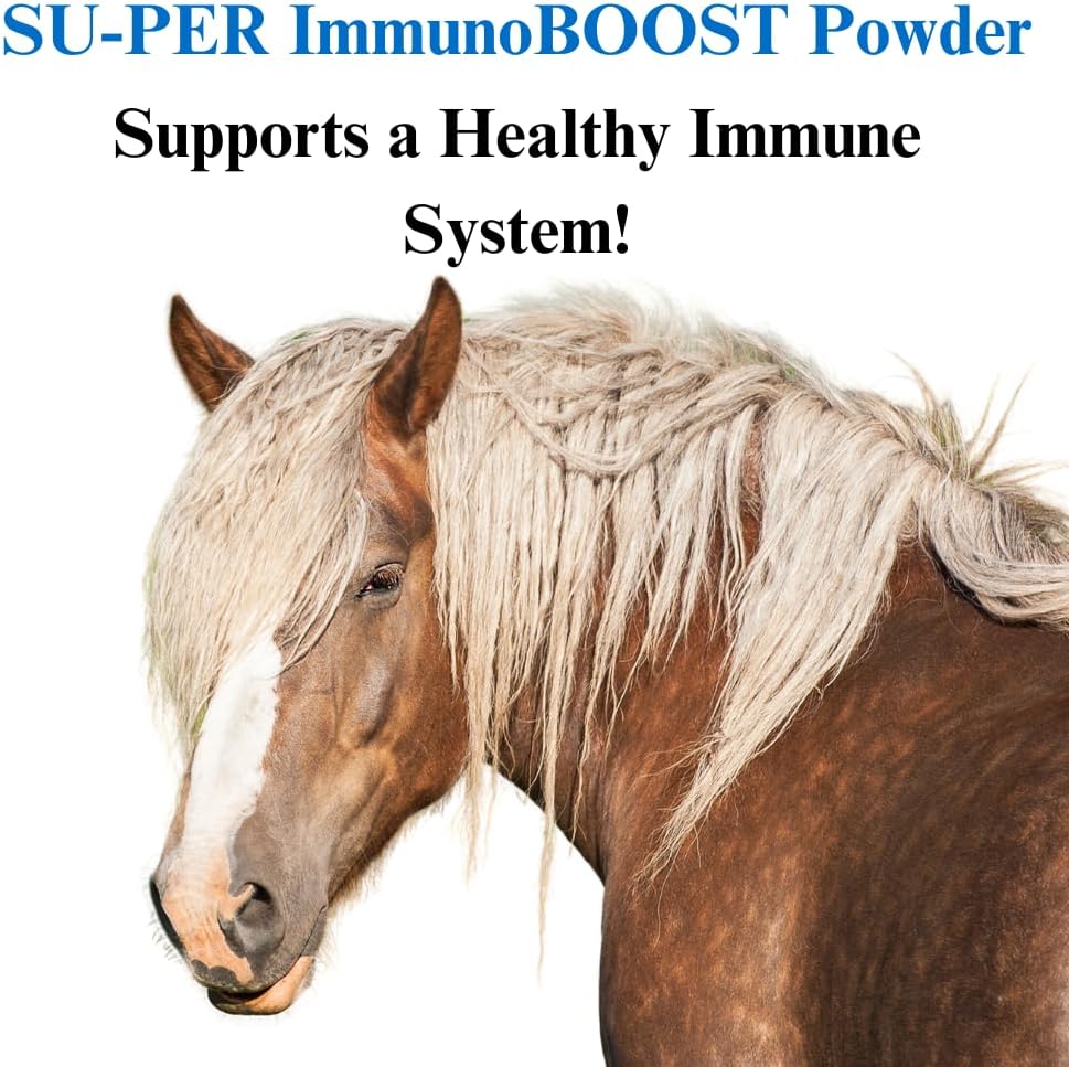 2 Pack of SU-PER ImmunoBOOST Horse Supplement - 4 Pound Immune Support with Advanced Antioxidants for Boosted Immunity & Recovery