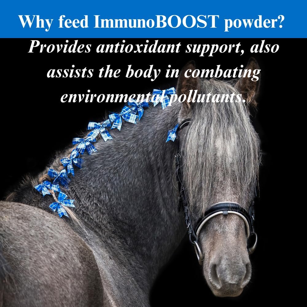2 Pack of SU-PER ImmunoBOOST Horse Supplement - 4 Pound Immune Support with Advanced Antioxidants for Boosted Immunity & Recovery