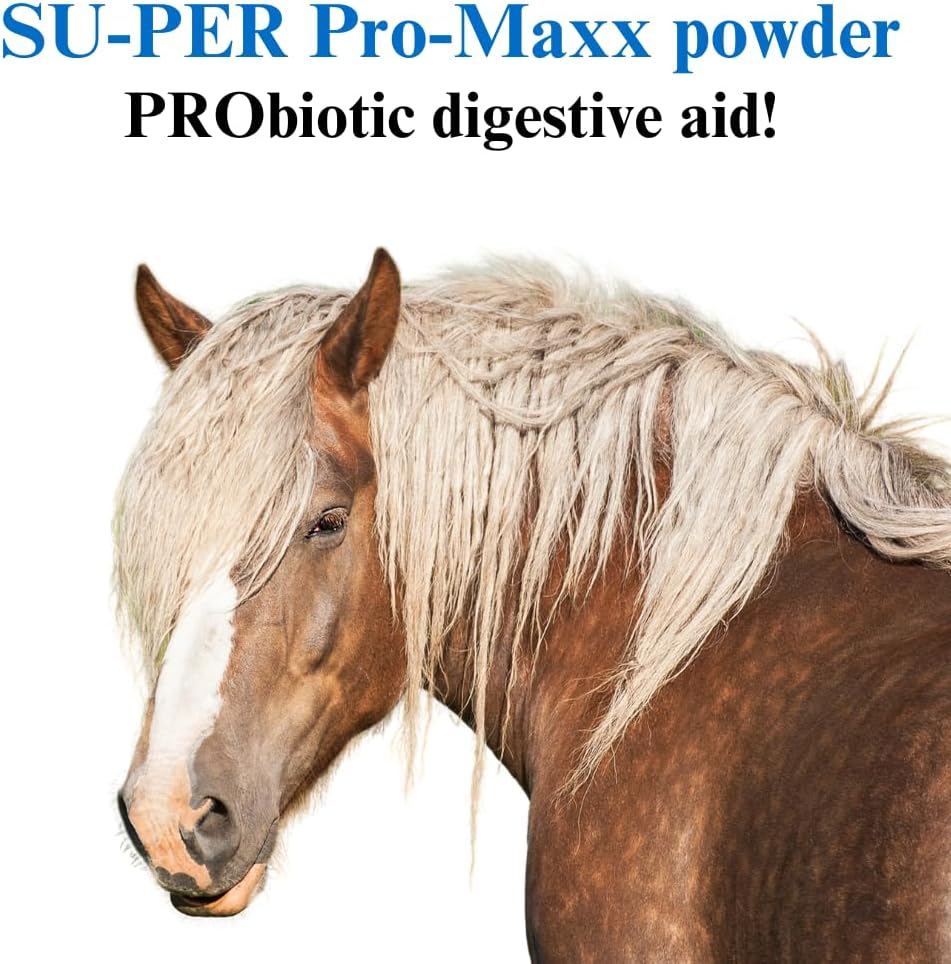2 Pack of SU-PER Pro-Maxx Probiotics for Horses - Supports Digestion and Gut Health - Nutrient Maximizing Formula - 2.5 Pound