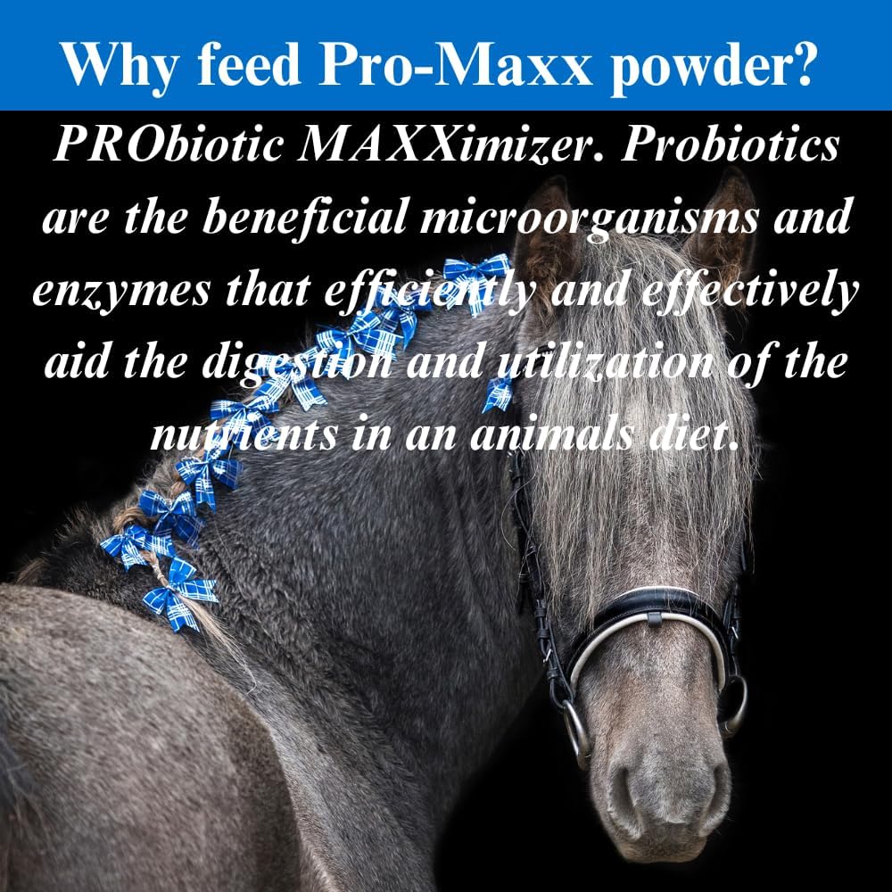 2 Pack of SU-PER Pro-Maxx Probiotics for Horses - Supports Digestion and Gut Health - Nutrient Maximizing Formula - 2.5 Pound