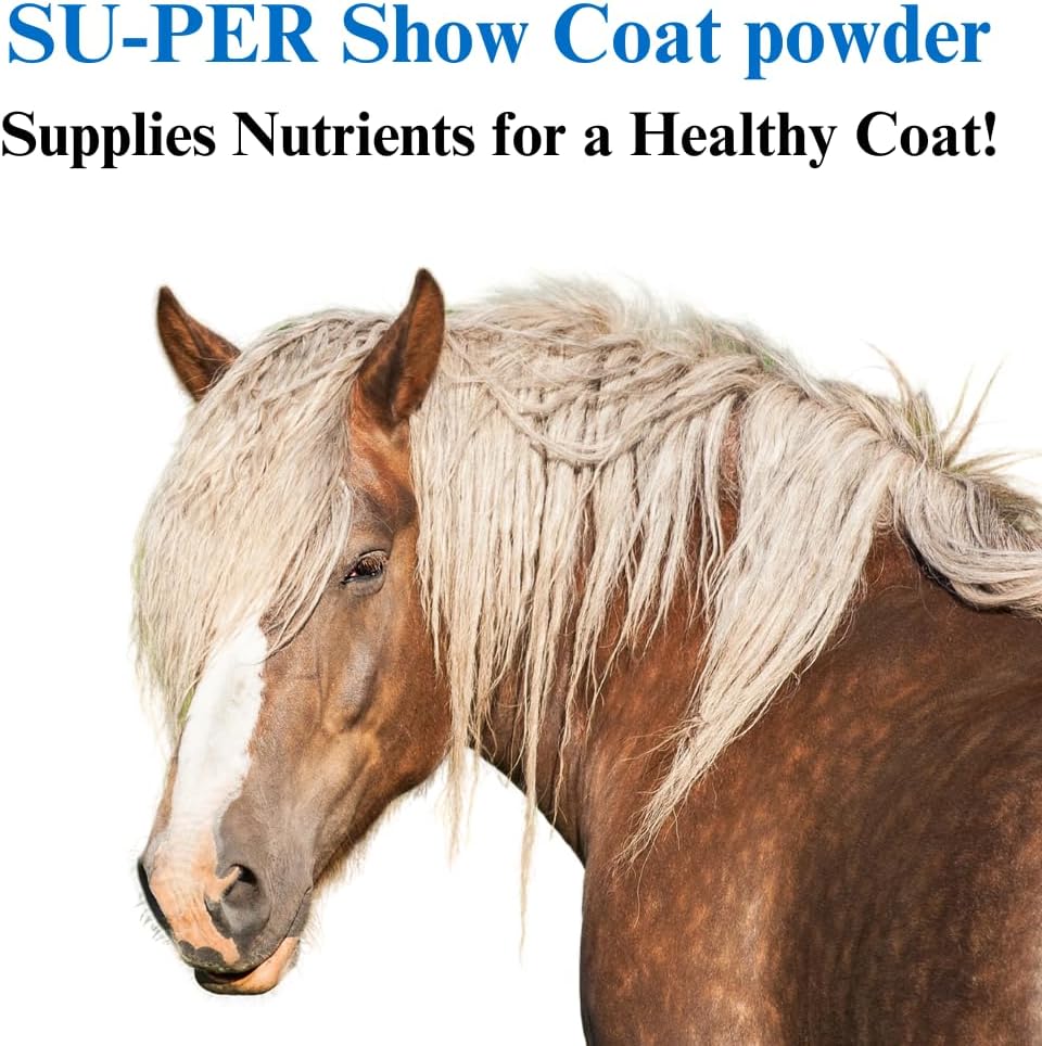 2 Pack of SU-PER Show Coat Supplement for Horses - Promotes Soft, Silky, Shiny Coat & Mane Growth - Contains Amino Acids, B-Complex Vitamins, Minerals - 2.5 lbs