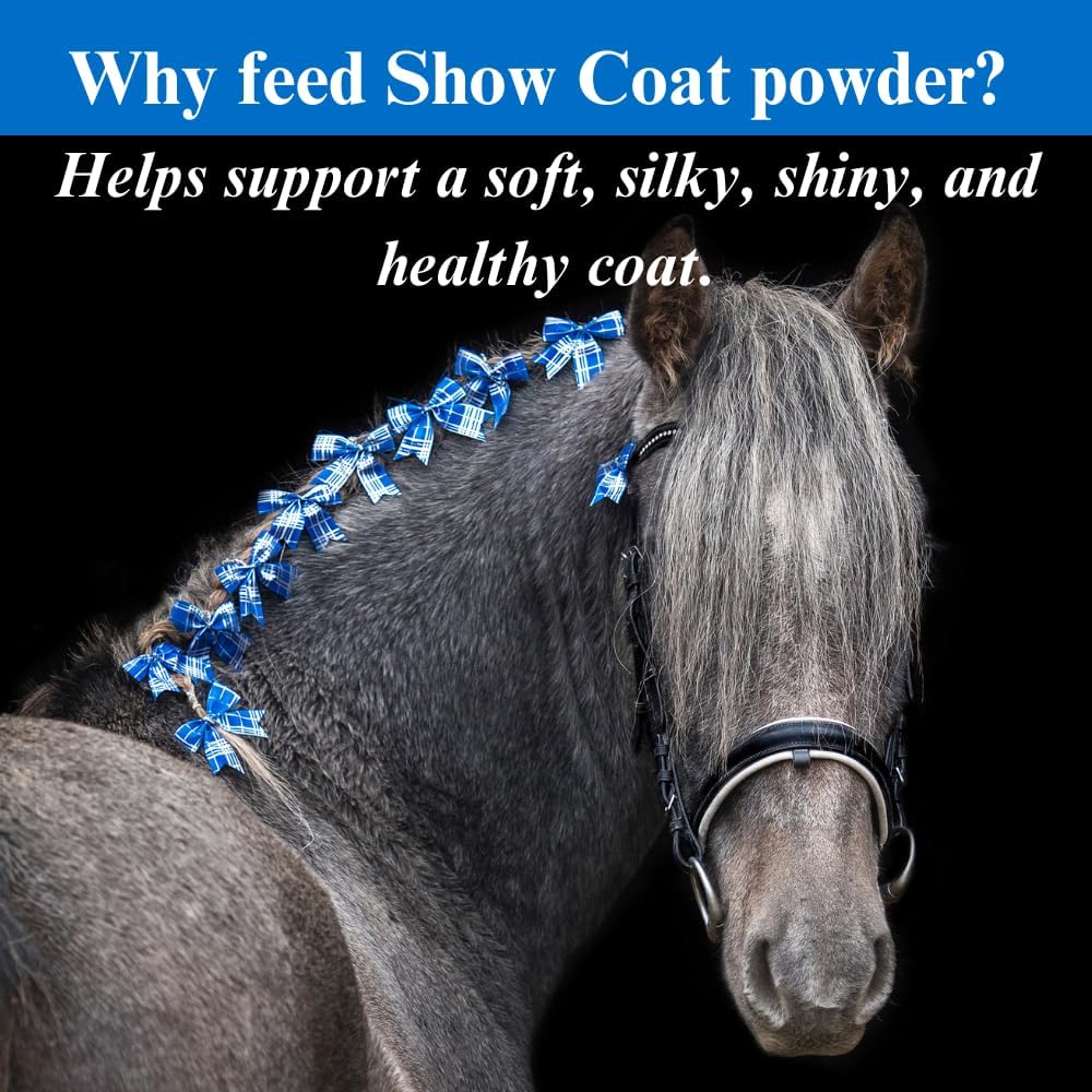 2 Pack of SU-PER Show Coat Supplement for Horses - Promotes Soft, Silky, Shiny Coat & Mane Growth - Contains Amino Acids, B-Complex Vitamins, Minerals - 2.5 lbs