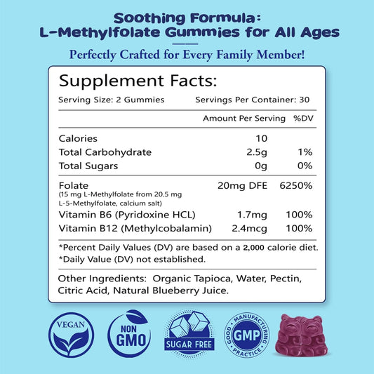 2 Pack Sijigood Blueberry L-Methylfolate Gummies with Methyl B12 - Boost Mood, Enhance Brain Health & Strengthen Immune System - 120 Count