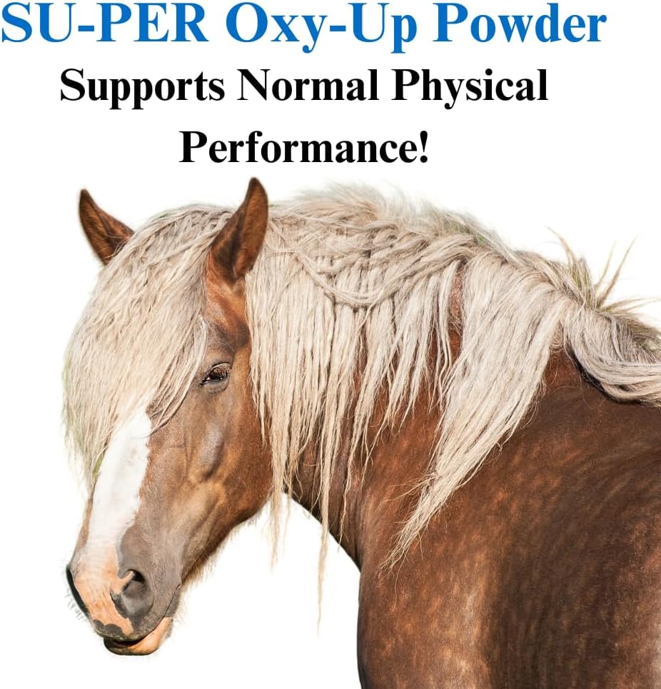 2 Pack SU-PER Oxy-Up Performance Horse Supplement - Boosts Stamina & Endurance - Wheat Germ Extract, B-Complex, Magnesium - 2.5 lb