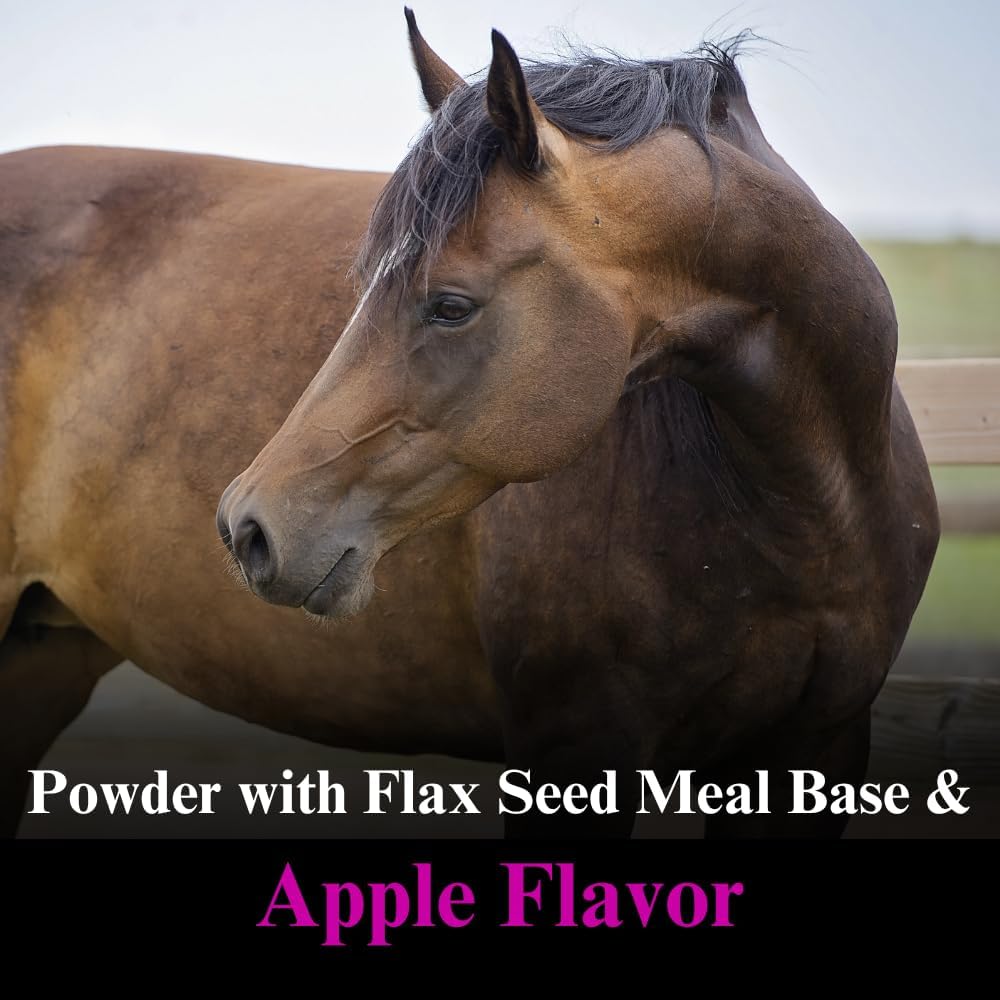 2 Pack SU-PER Oxy-Up Performance Horse Supplement - Boosts Stamina & Endurance - Wheat Germ Extract, B-Complex, Magnesium - 2.5 lb