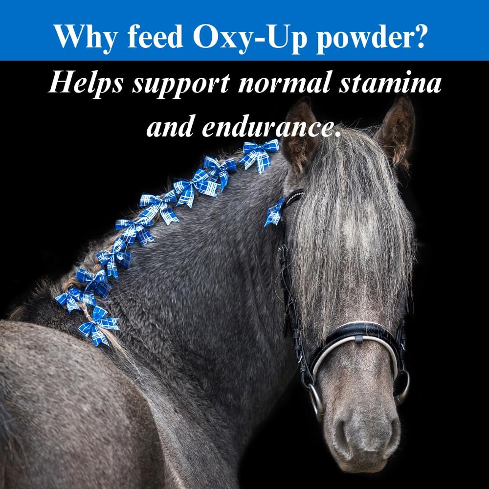 2 Pack SU-PER Oxy-Up Performance Horse Supplement - Boosts Stamina & Endurance - Wheat Germ Extract, B-Complex, Magnesium - 2.5 lb