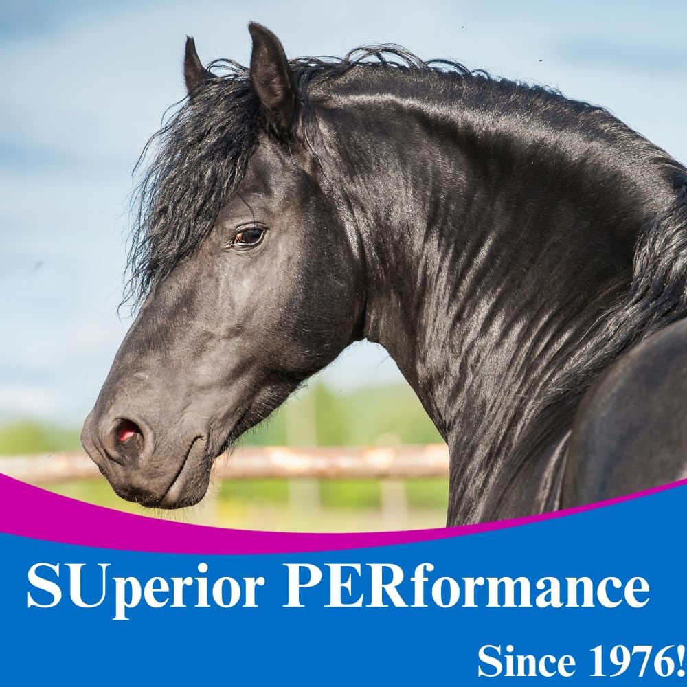 2 Pack SU-PER Oxy-Up Performance Horse Supplement - Boosts Stamina & Endurance - Wheat Germ Extract, B-Complex, Magnesium - 2.5 lb