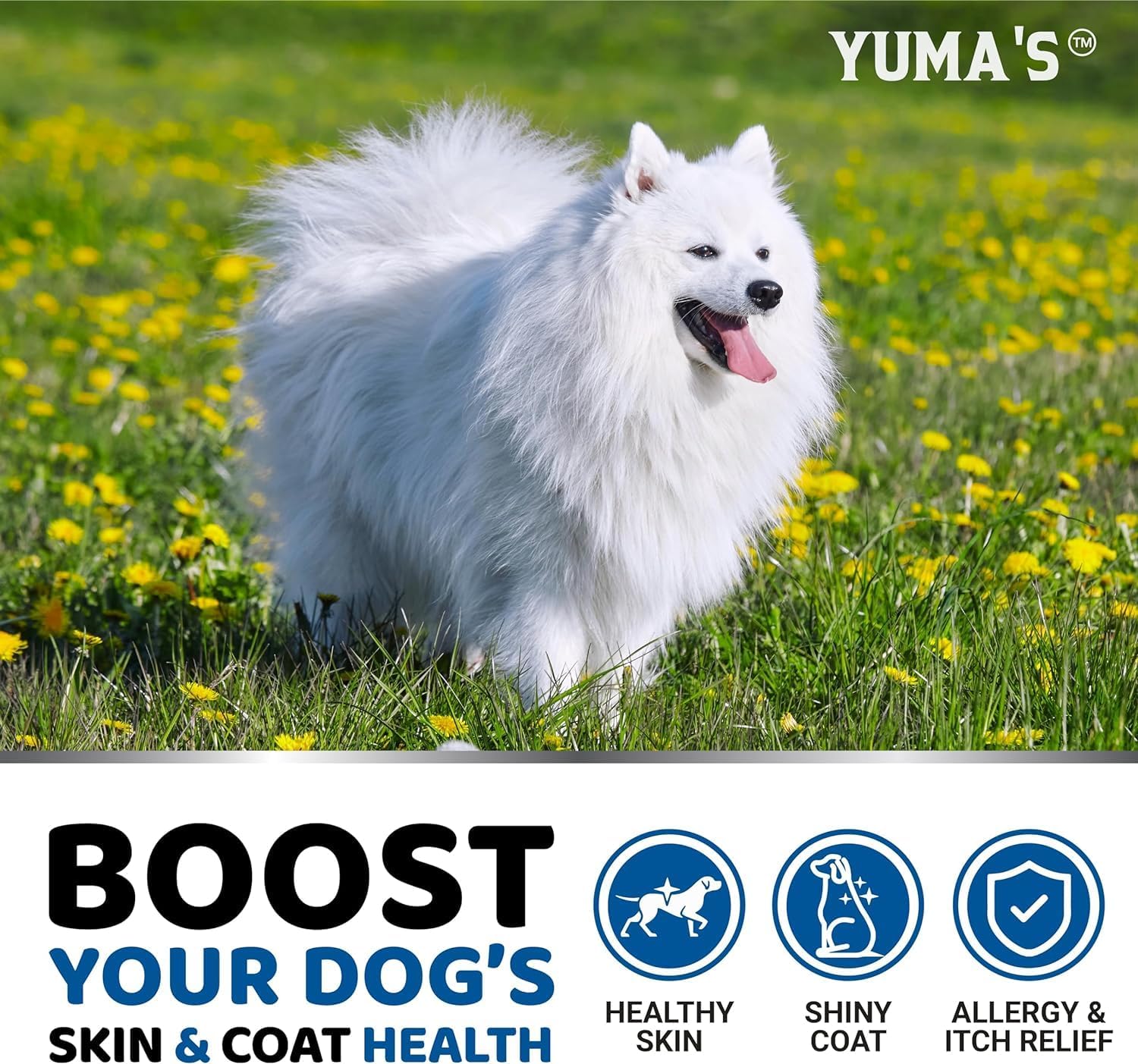 2 Pack YUMA'S Omega 3 Fish Oil Chews for Dogs - Skin & Coat Supplement - Dry Itchy Skin Relief - Allergy Support & Anti-Shedding - Salmon & Chicken Flavor - 170 Treats