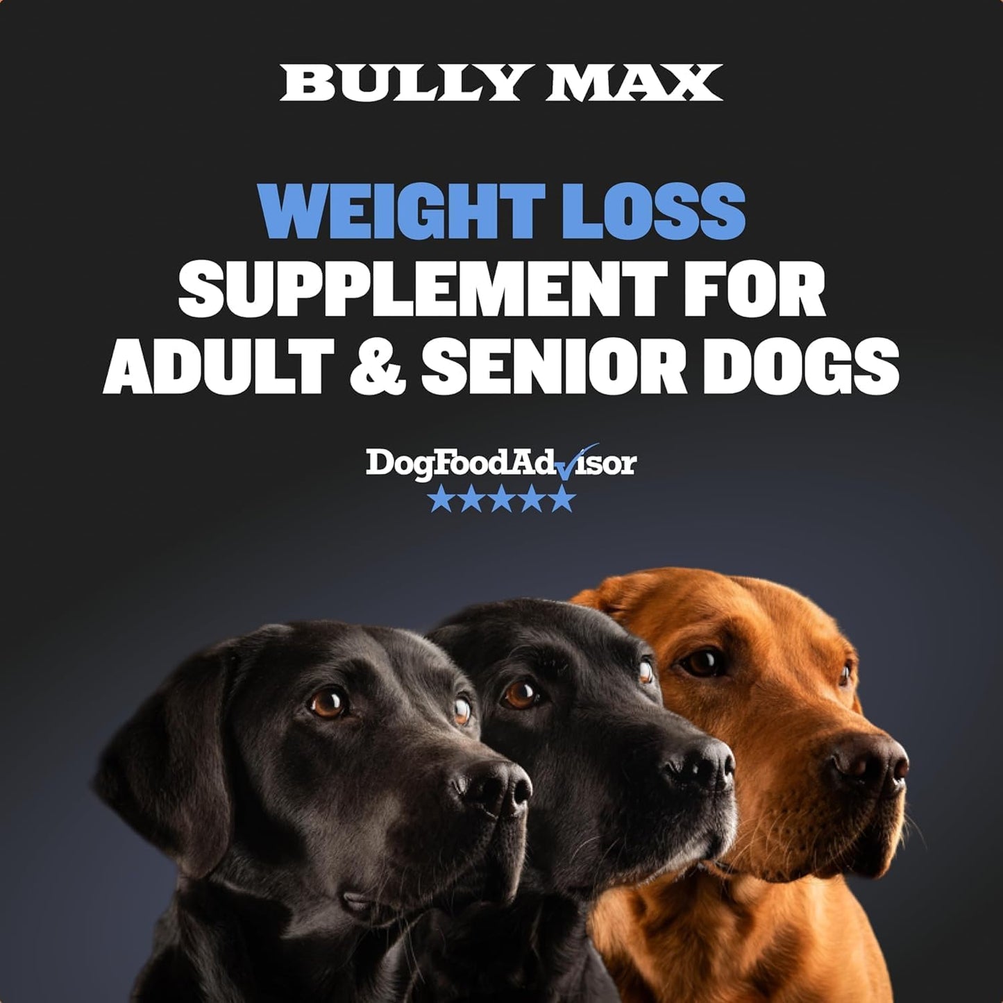 2 Packs of Bully Max 2-in-1 Dog Slimming Formula Supplement Chews for Adult and Senior Dogs - Immunity Boost & Weight Control - 150 Soft Chews
